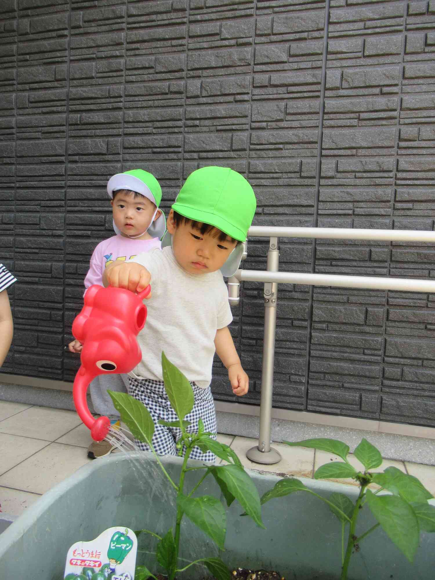 大きくなぁれ✨