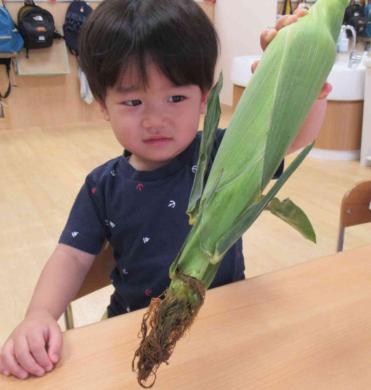 ７月の食育　とうもろこしの皮むき
