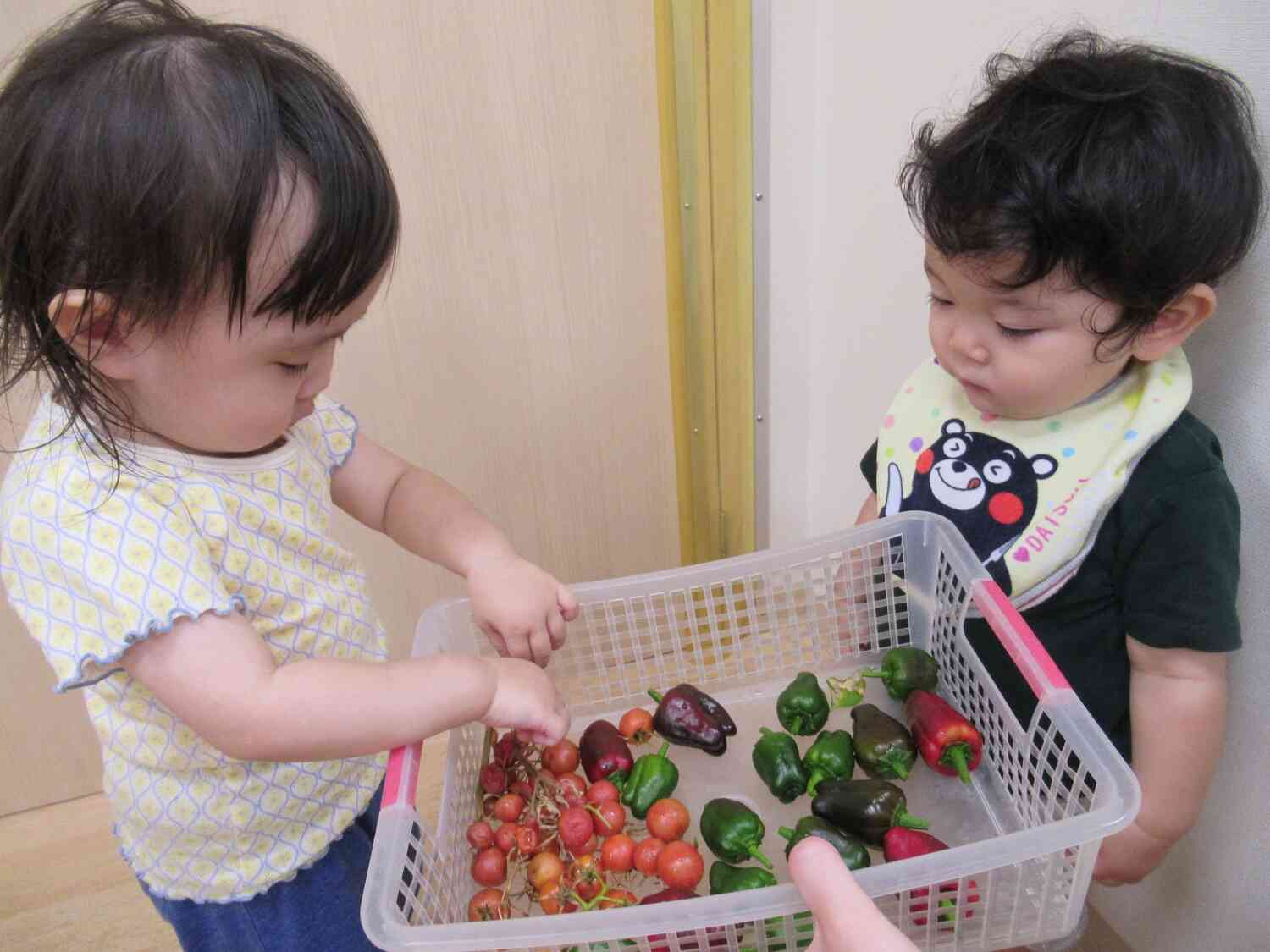 ８月の食育 ピザ作り