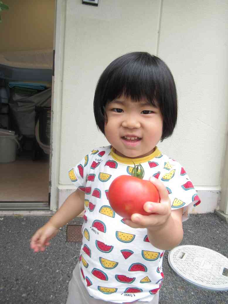 夏野菜の大収穫！