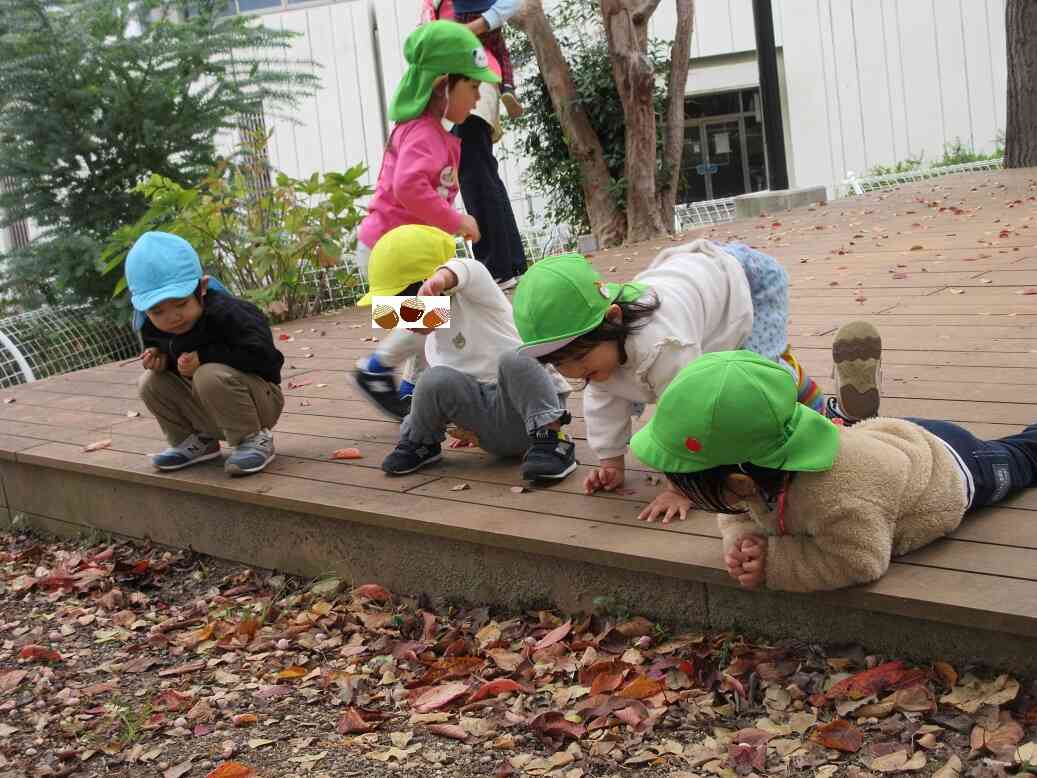 何があるかな？