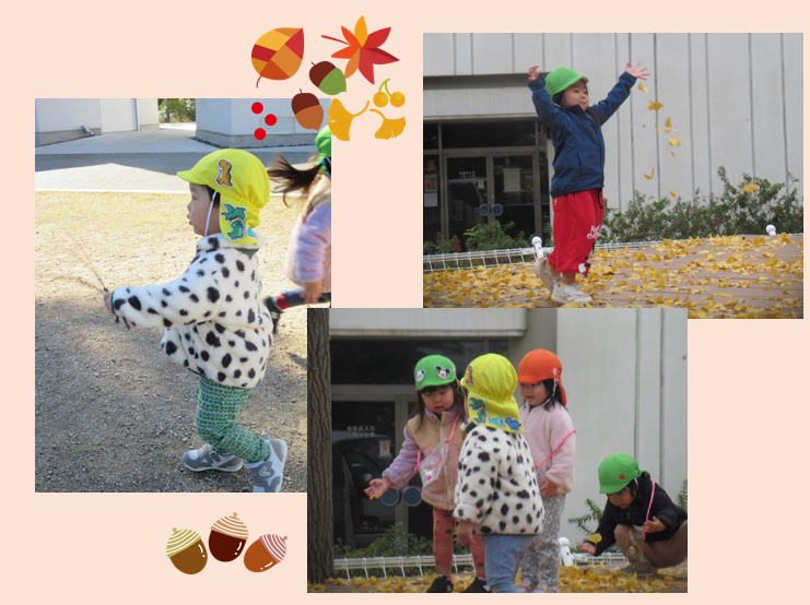 きれいな落ち葉がいっぱい！