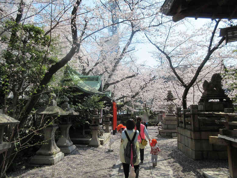 お花見散歩（あひる組～１歳児～）