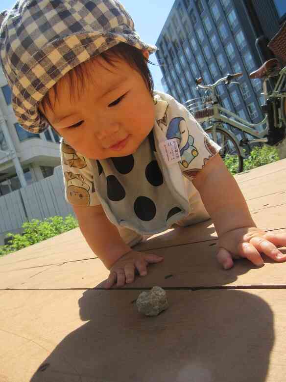 公園遊び（ひよこ組～０歳児～）