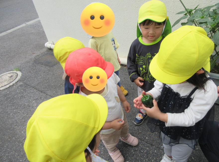 大きくなった！