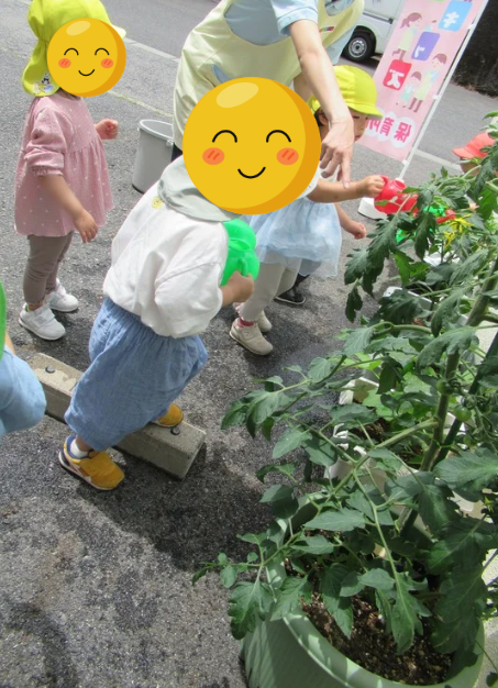 毎日の日課♪