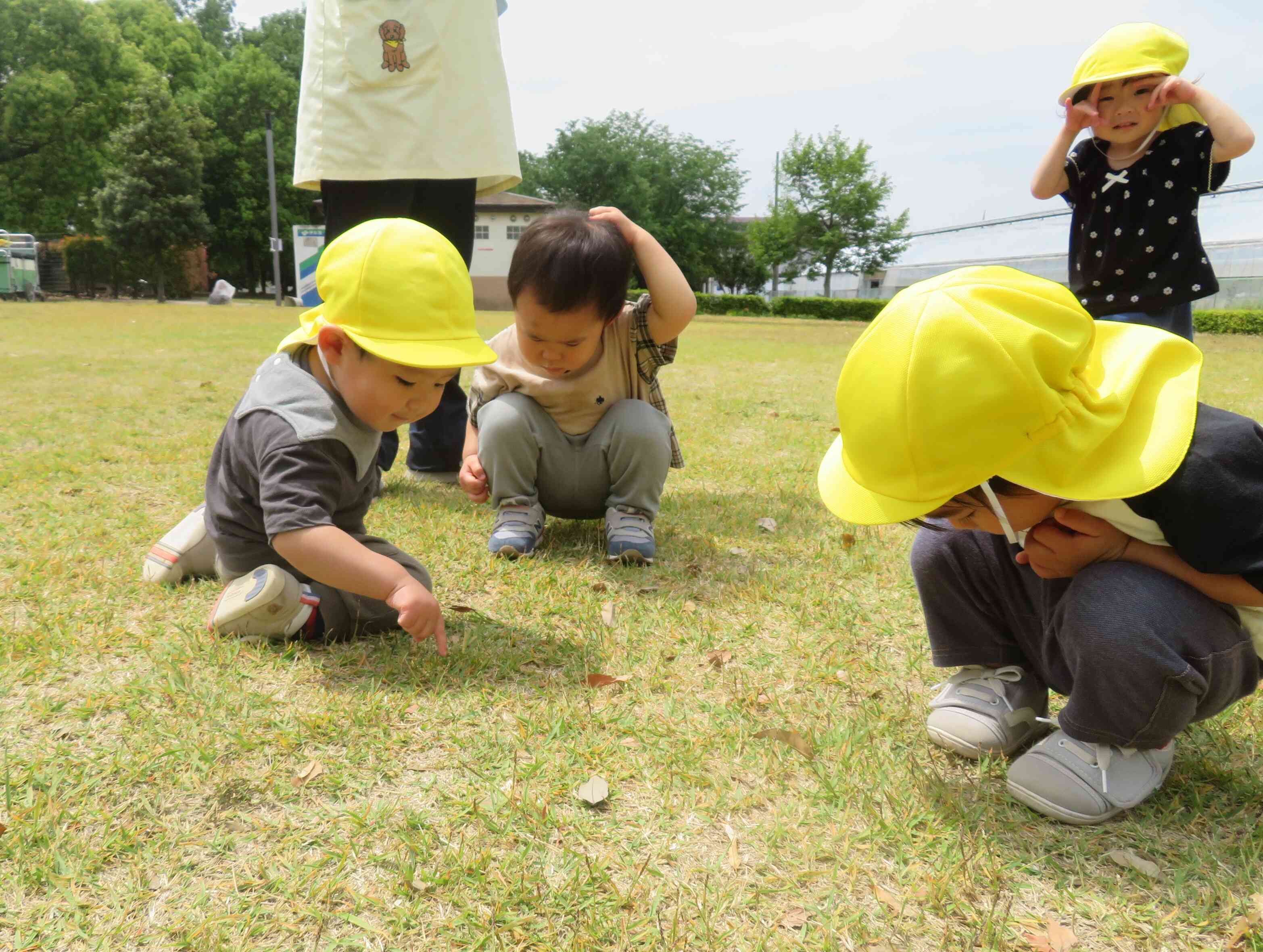 公園に行ってきたよ
