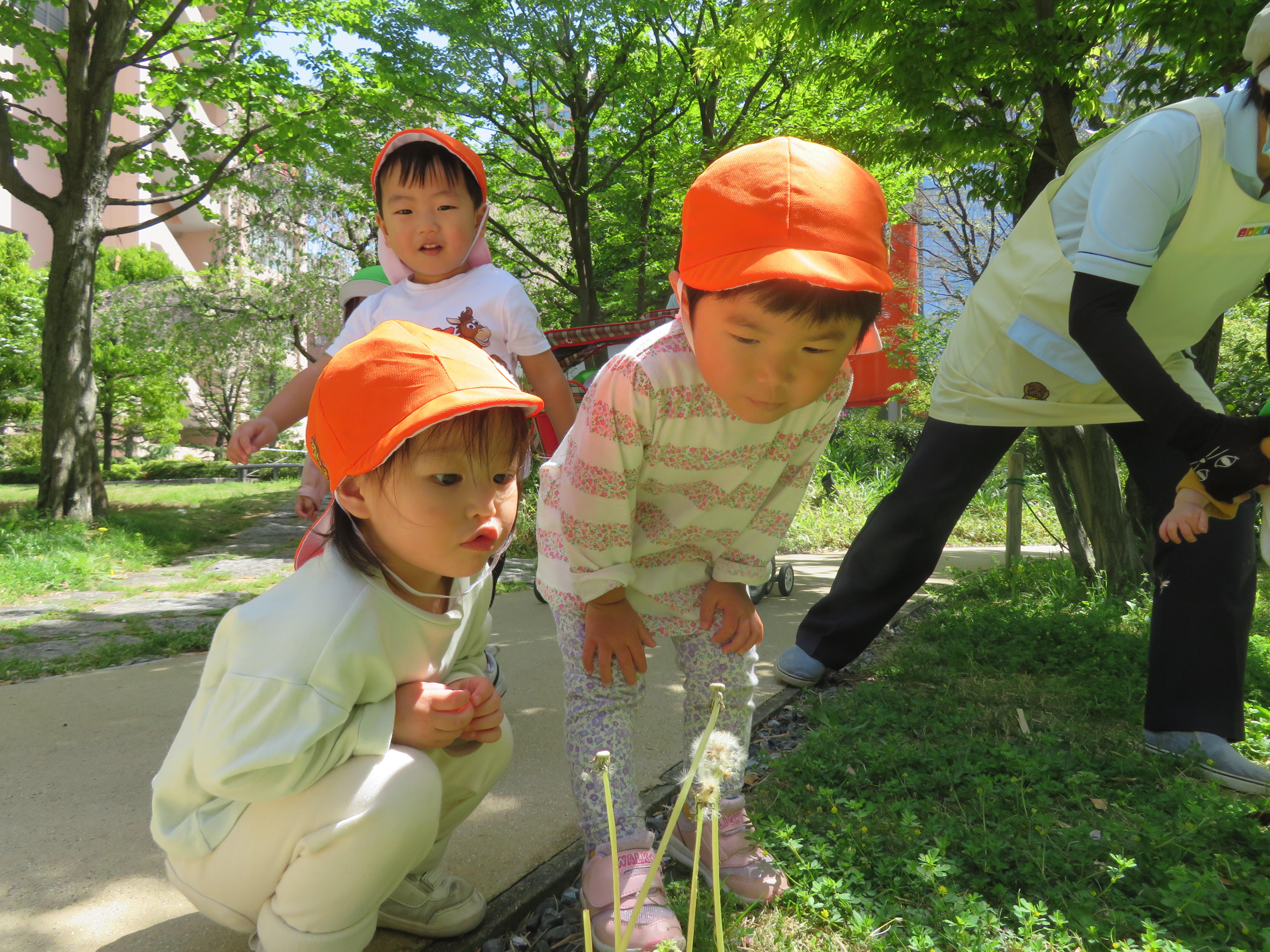 庭園の中を探検だ！