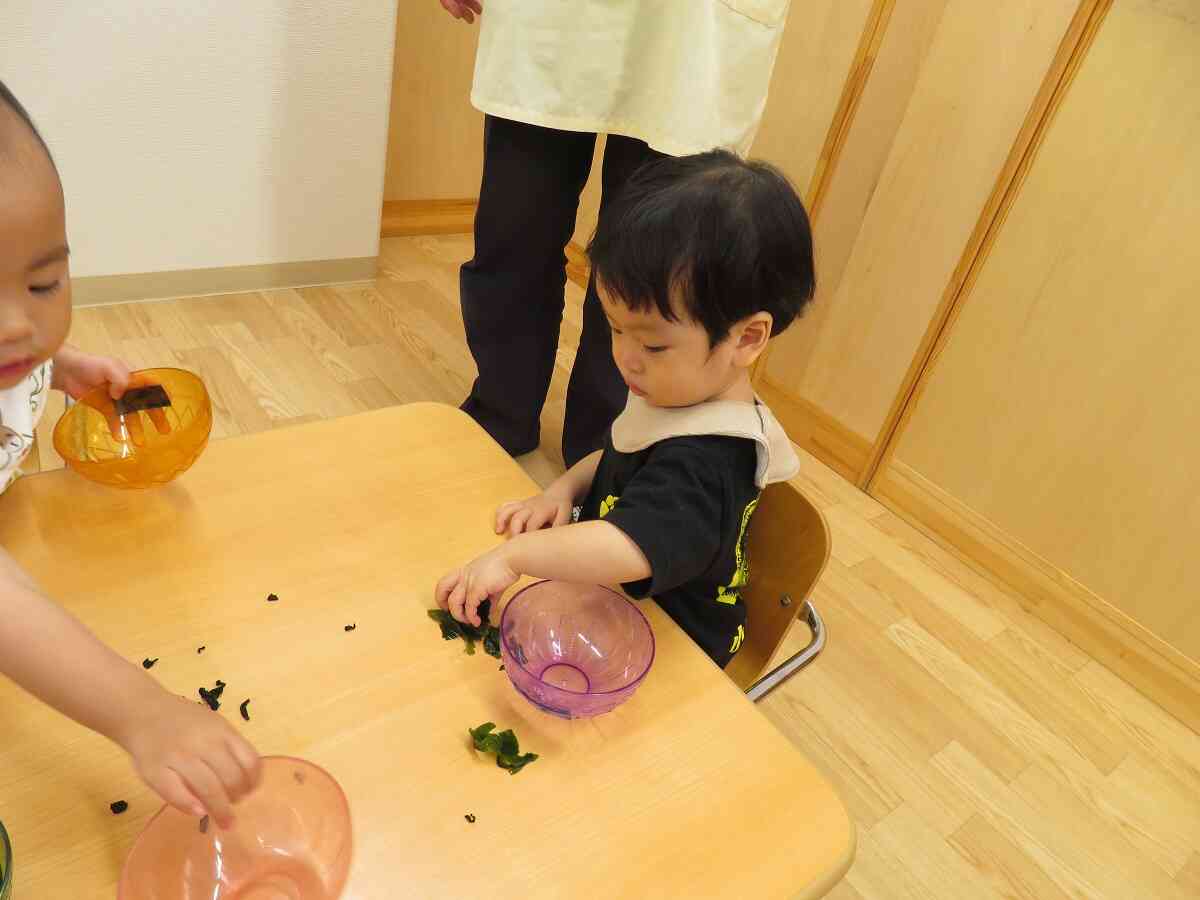 わかめ気持ちいいな～