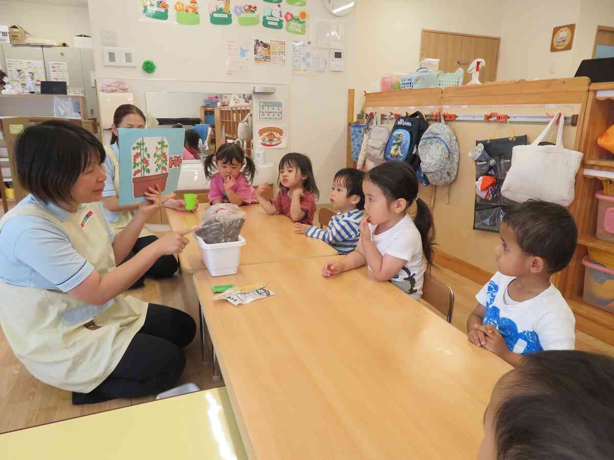 トマトを育てよう♪