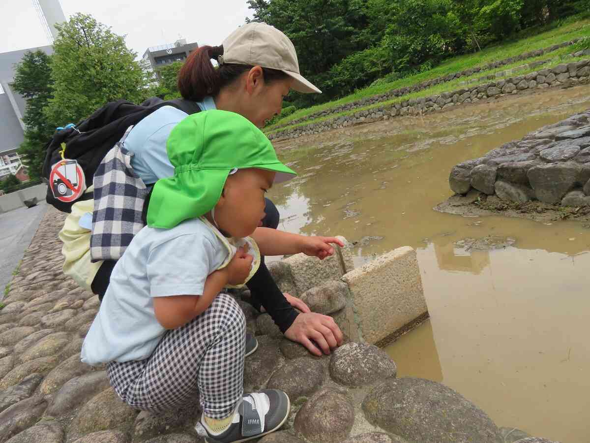 新しいお友だちが増えたよ♡