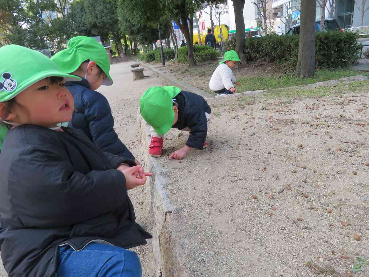 どんぐりみーつけた！