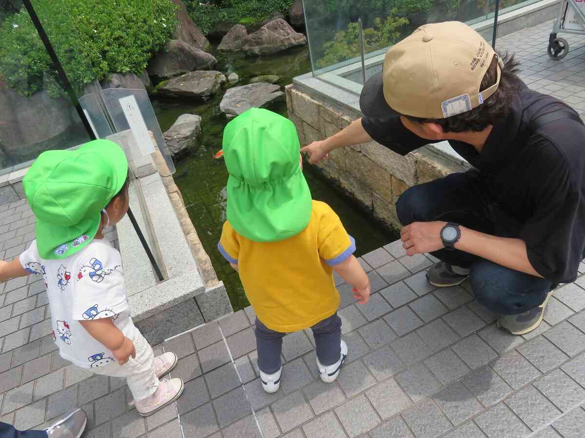 保育参加の日☆