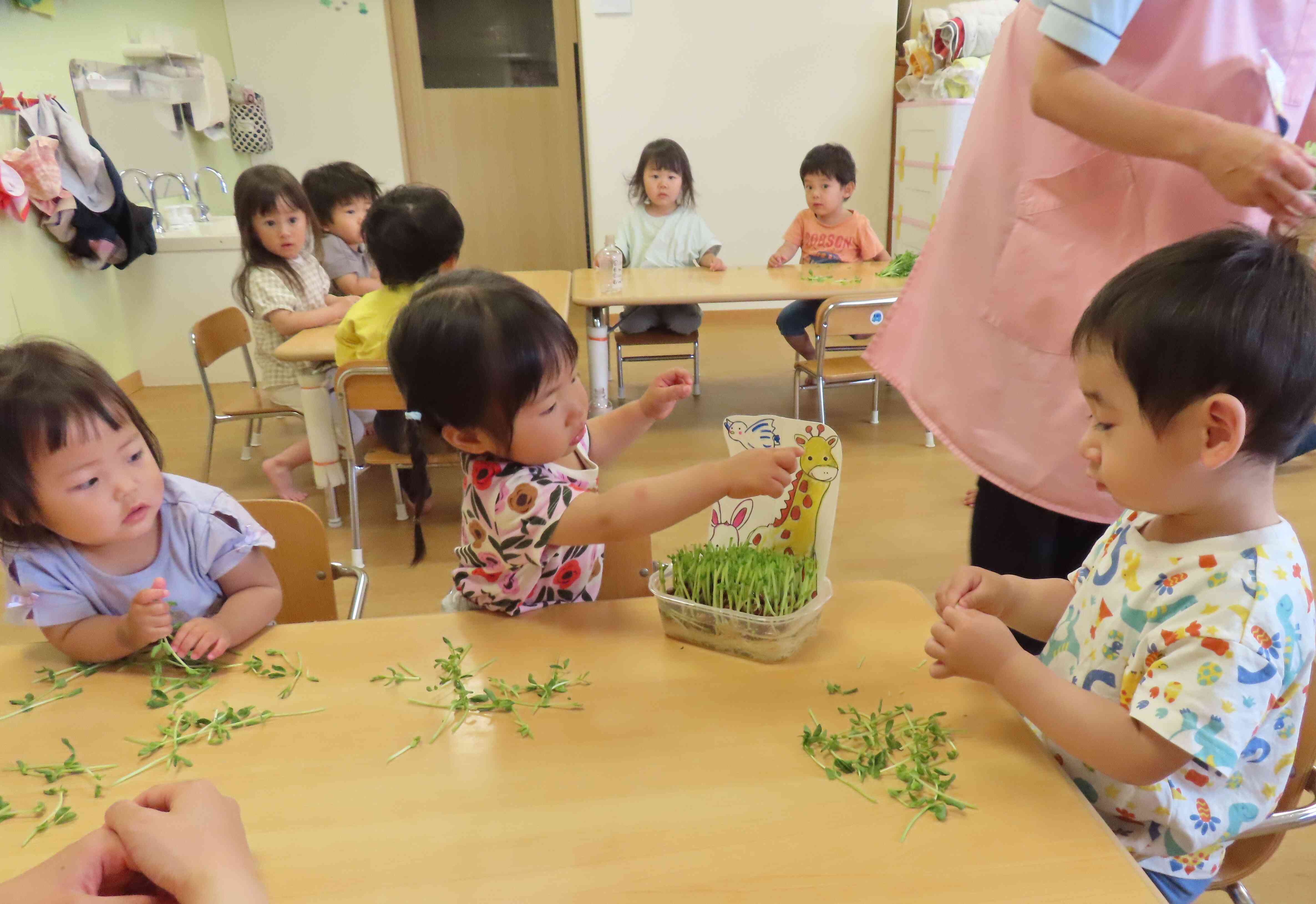きりんさんくらい大きくなるかな。。。
