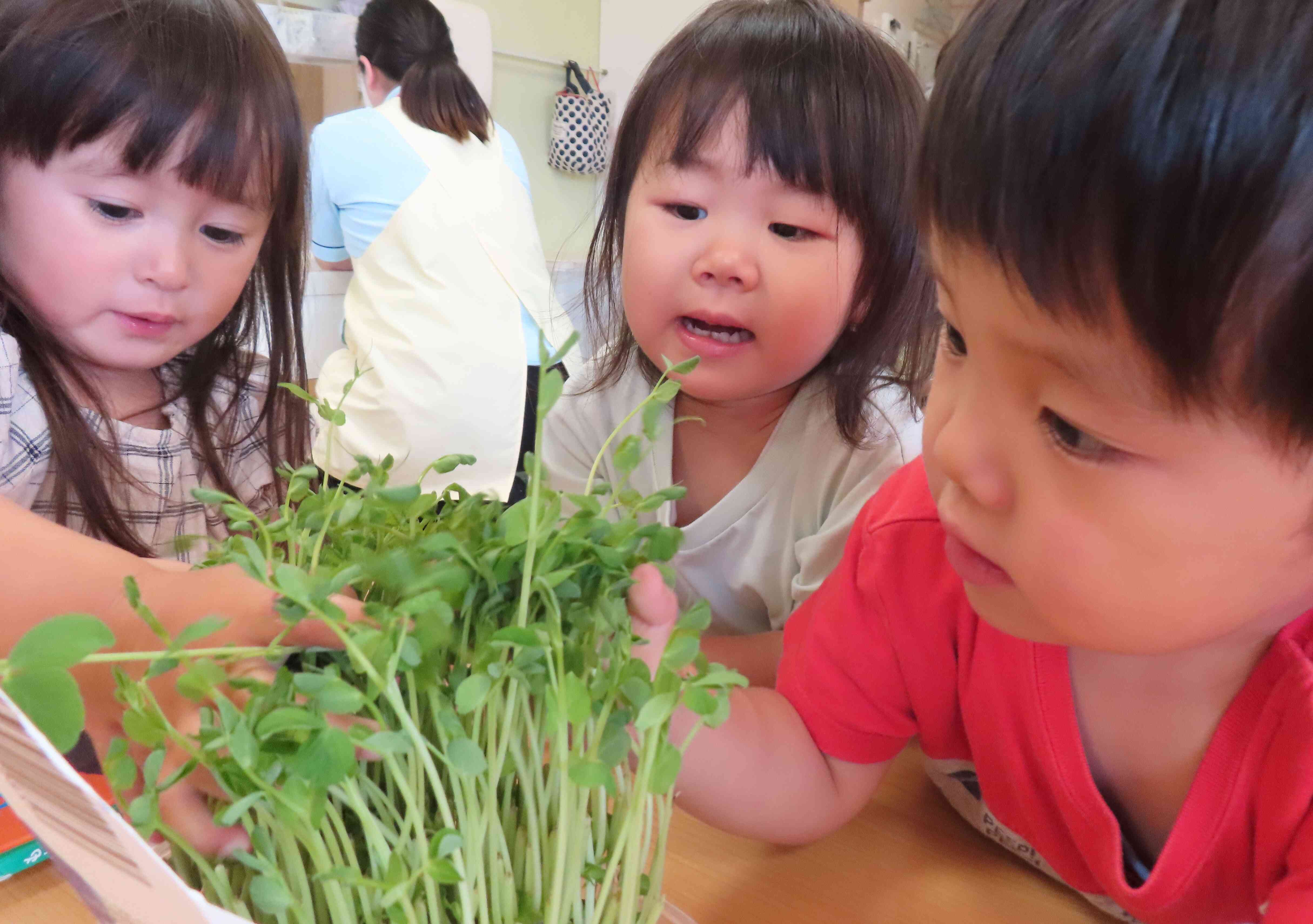 5日目。めっちゃ大きい！と子どもたちもびっくりでした(^^)/