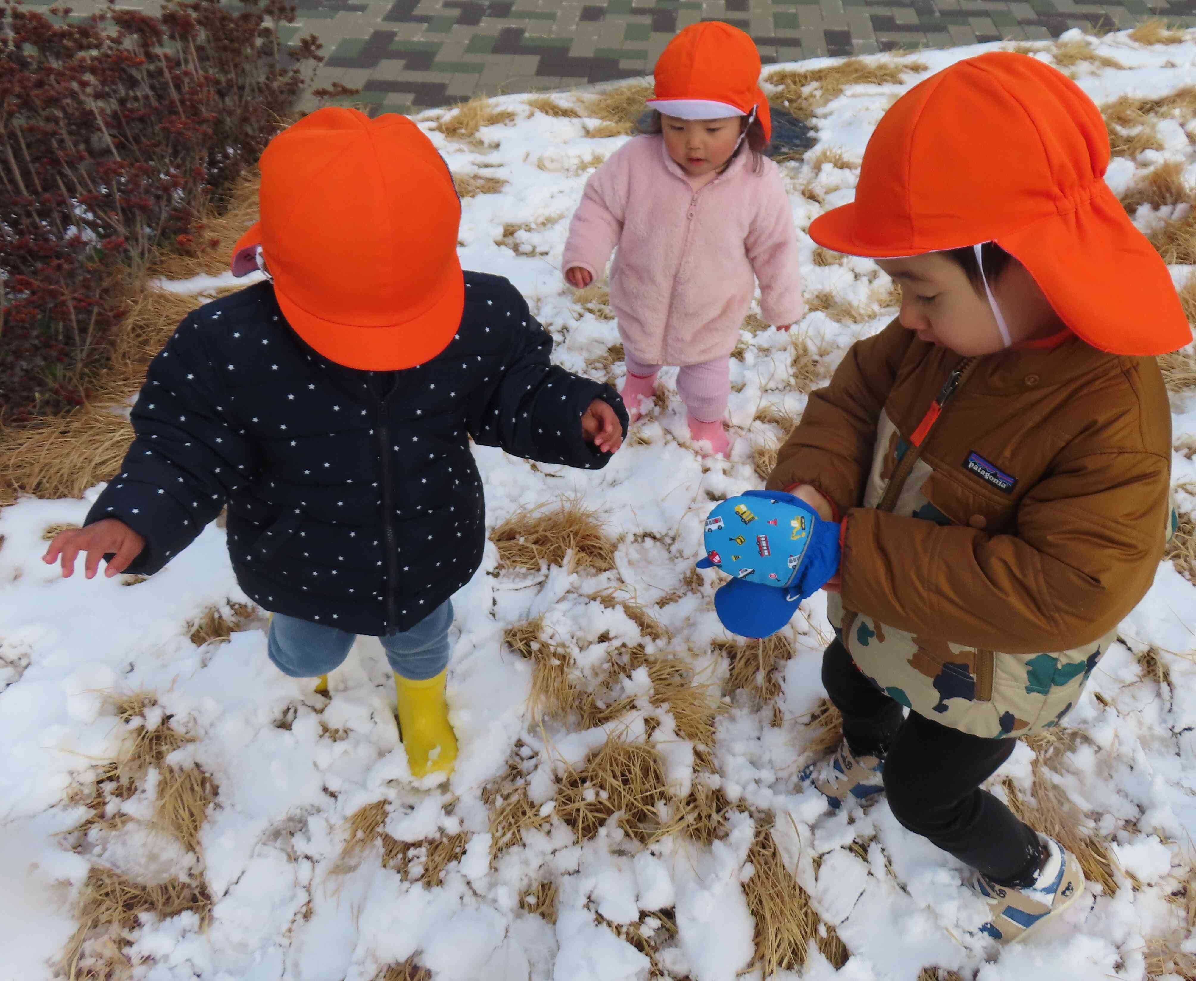 雪あそびだ～‼