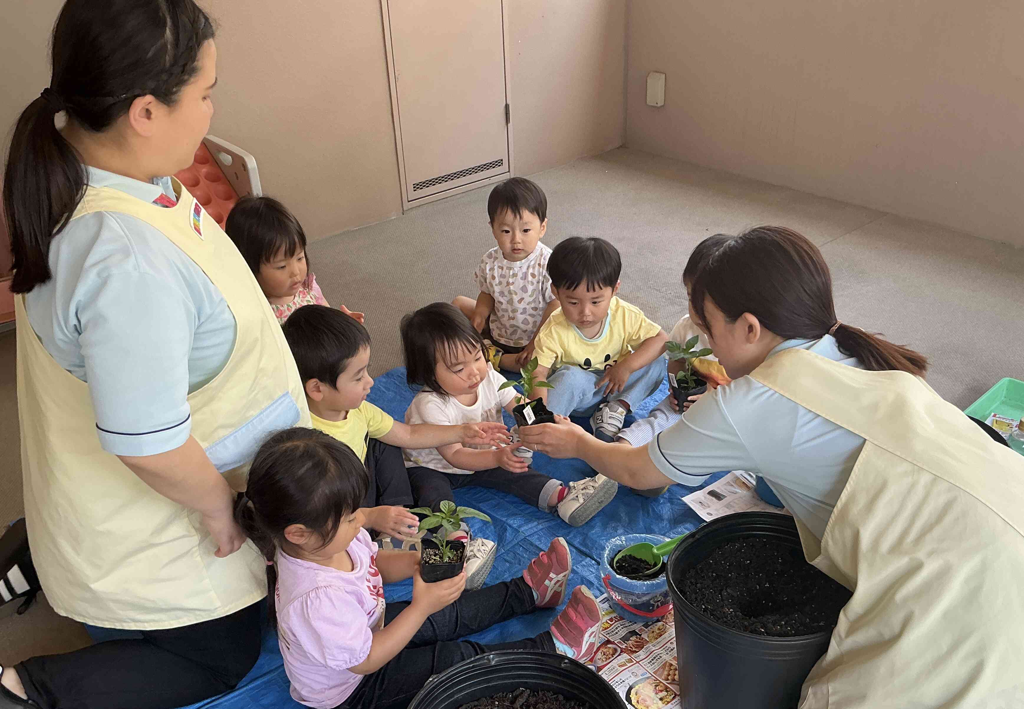 ピーマンの苗植え～食育～