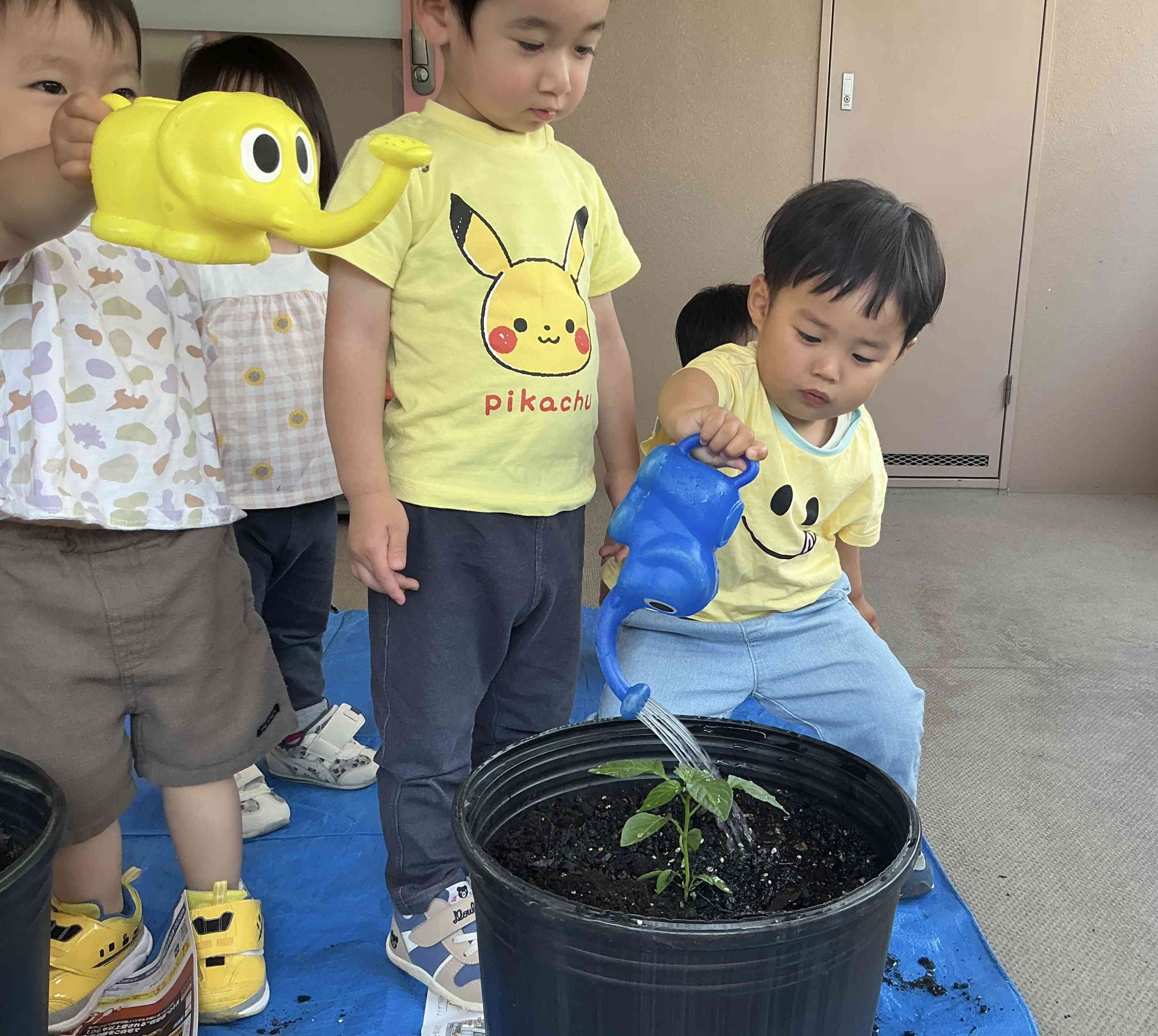「おおきくなってね~」と優しく水やり(*^-^*)