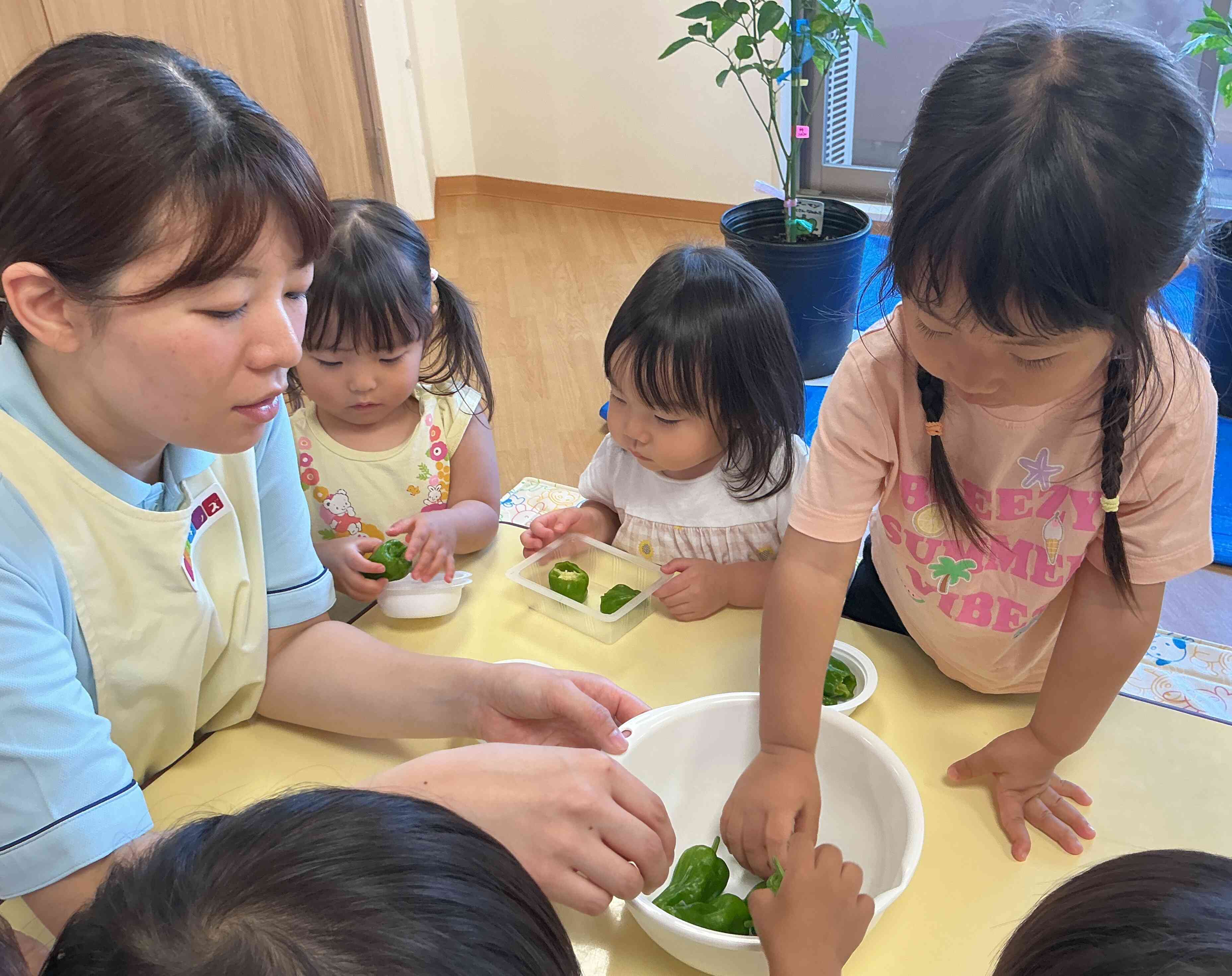 切ってピーマンの中の様子をみたり、匂いを嗅いだり観察TIME.。o○