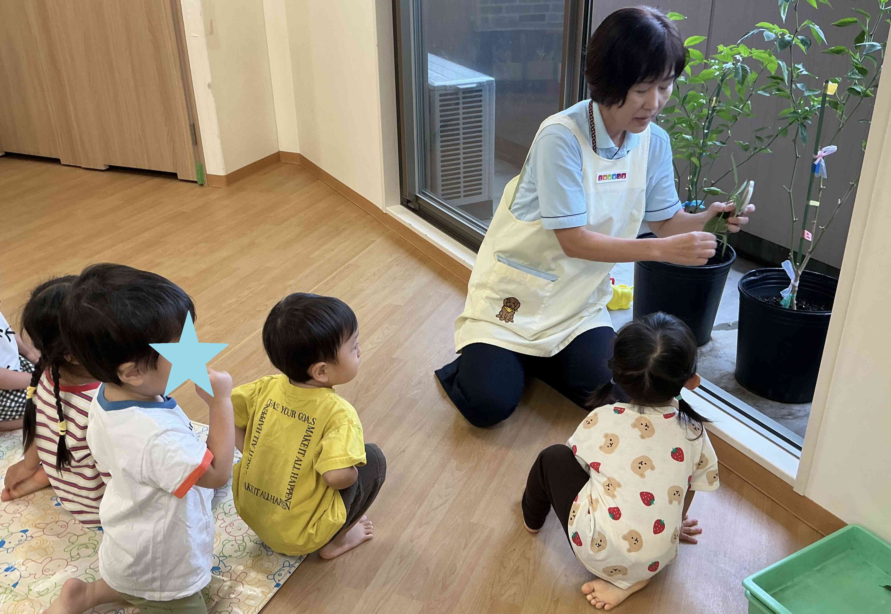 ピーマンの葉っぱ
