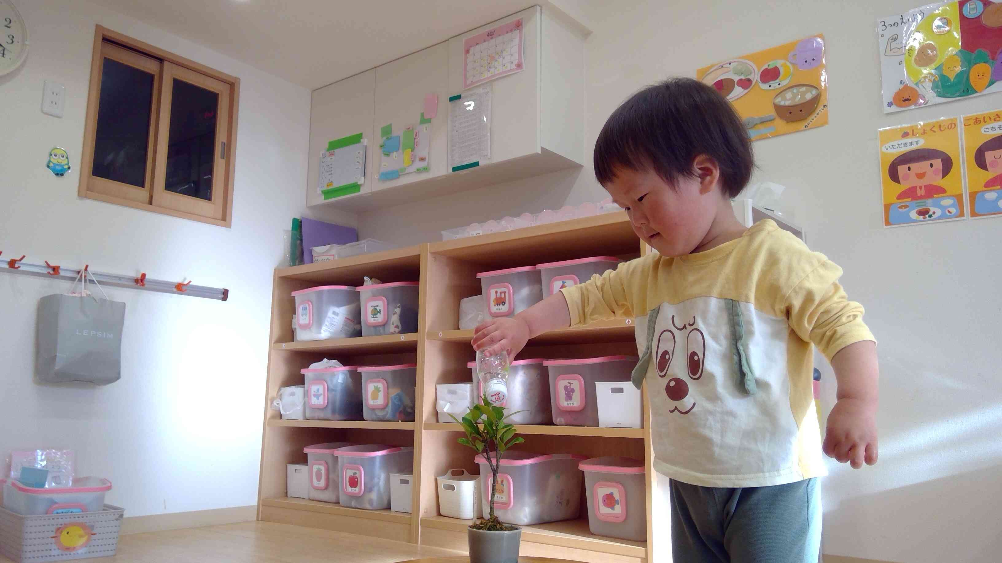 植物栽培｜ニチイキッズ洛西口第二保育園｜ニチイキッズ