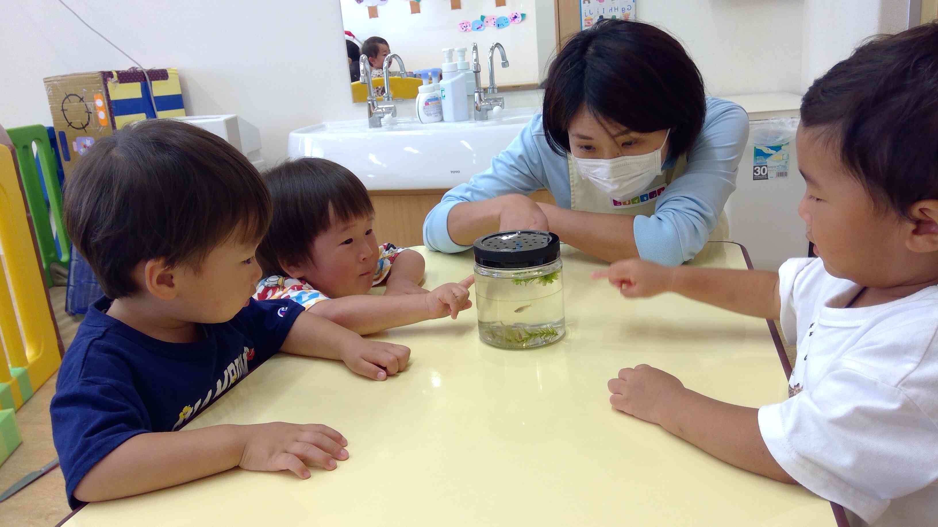｢今なにしてるかなぁ～？｣と観察中（*^_^*）