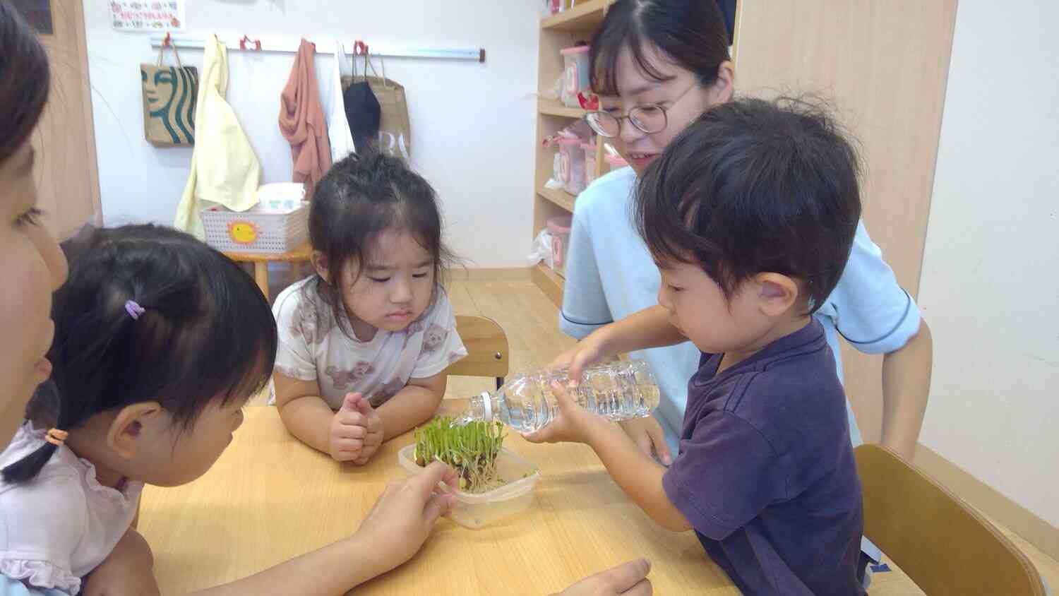 野菜の栽培。