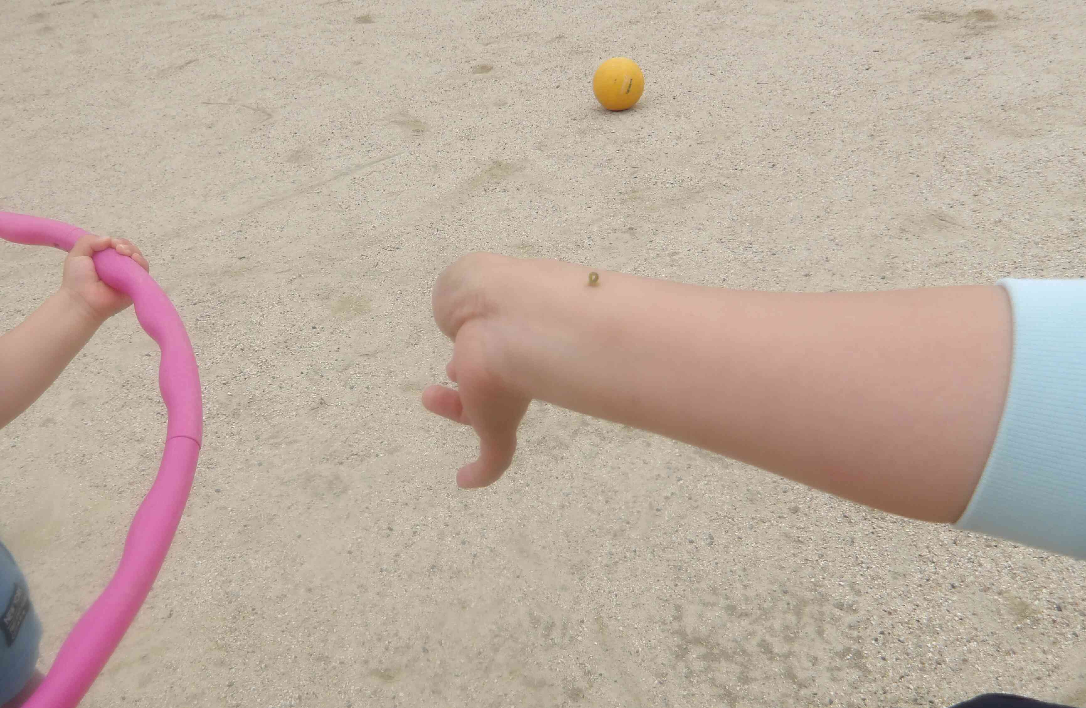 あおむしさんです!