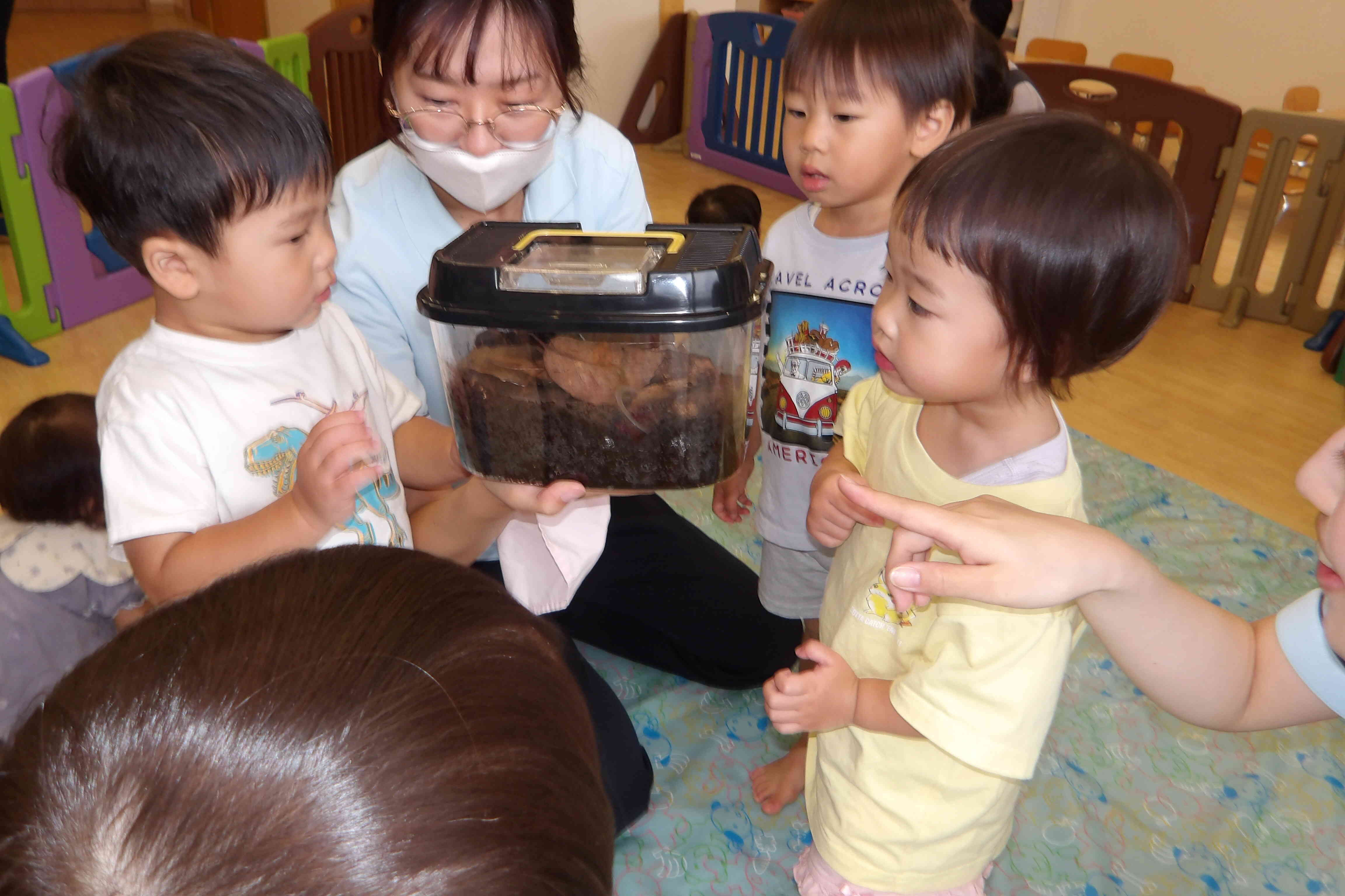 かぶとむしが来たよ！