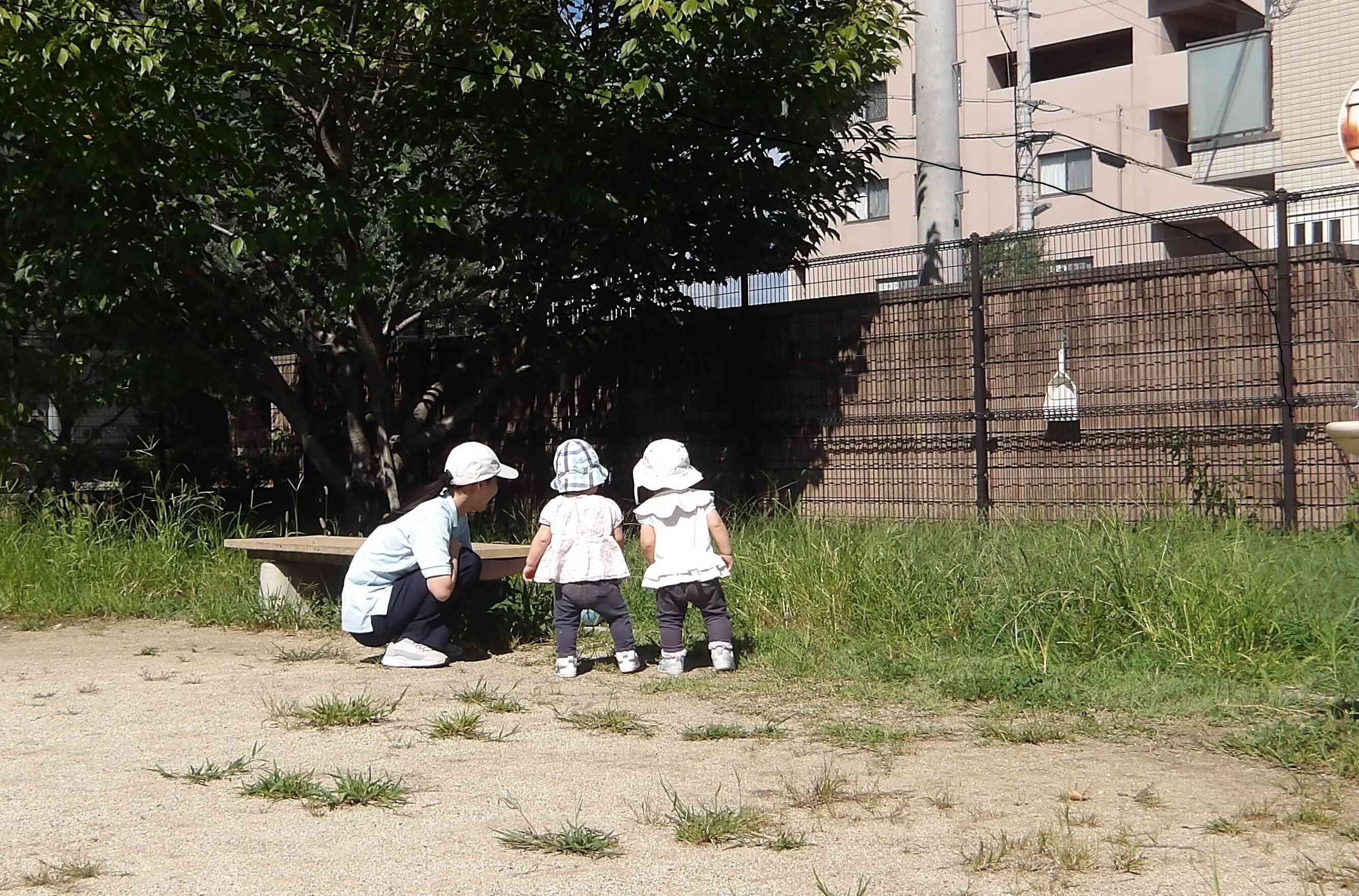 何かいるの？