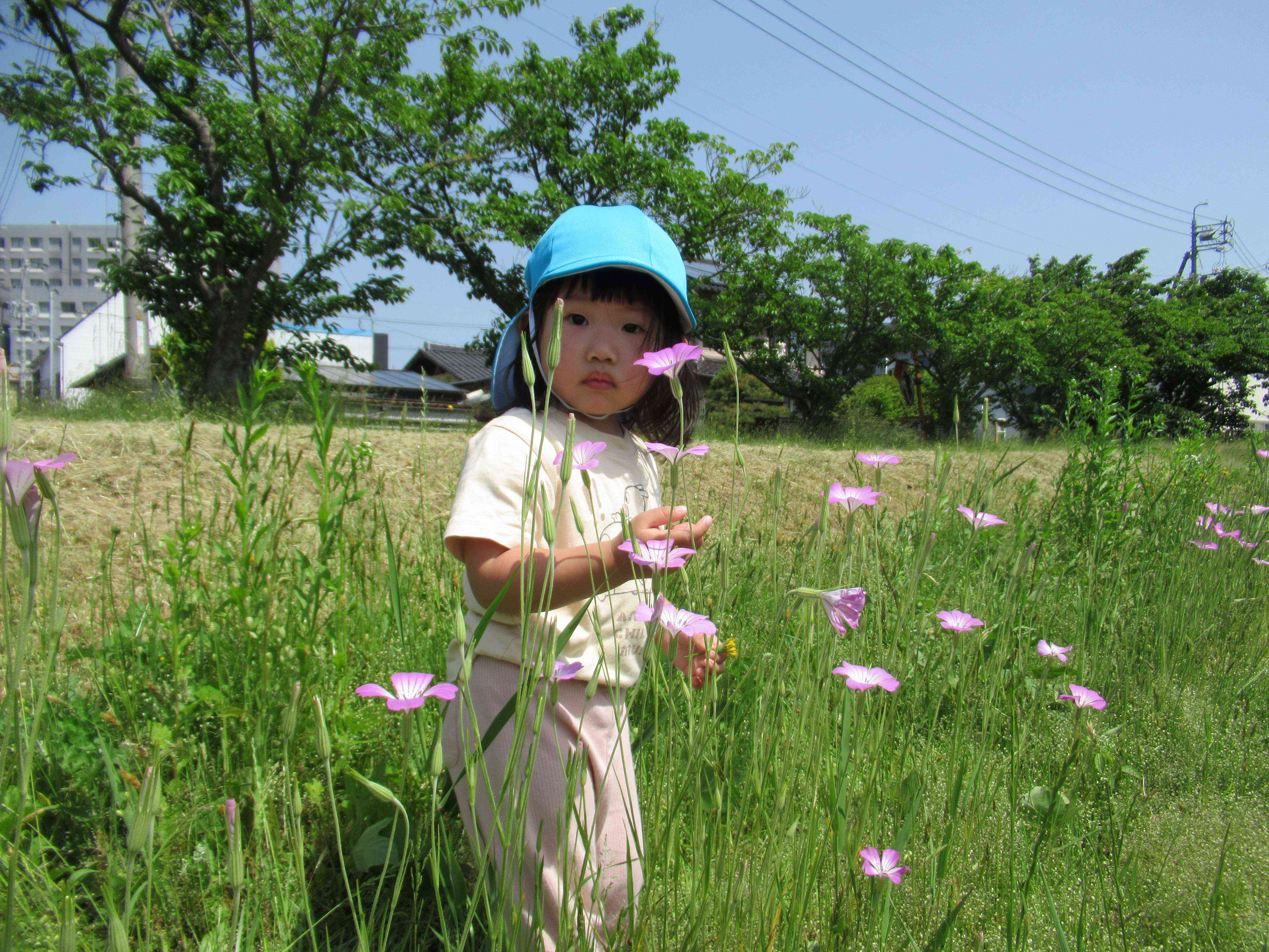 お花がいっぱい