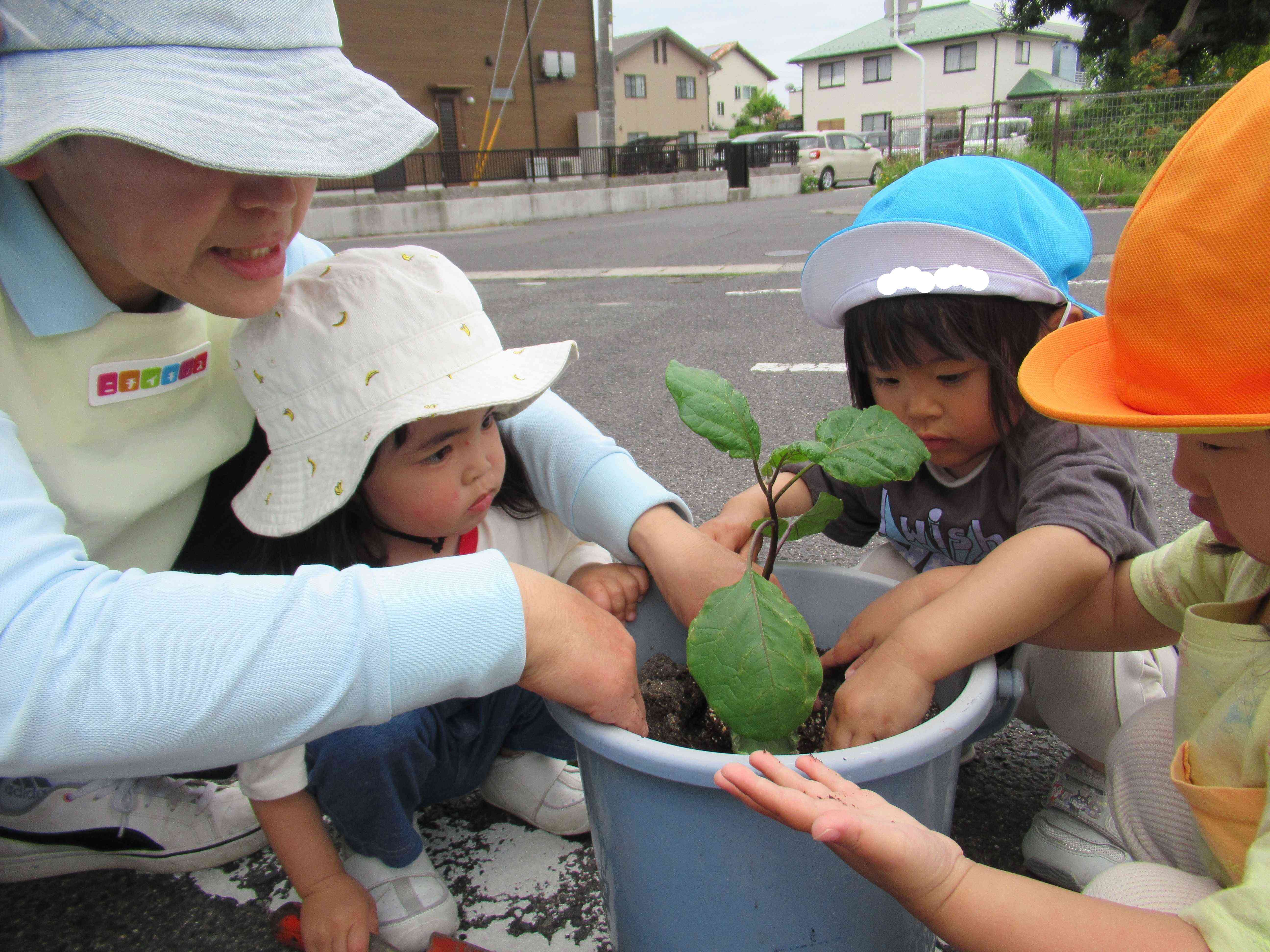夏野菜を植えたよ～2歳児～