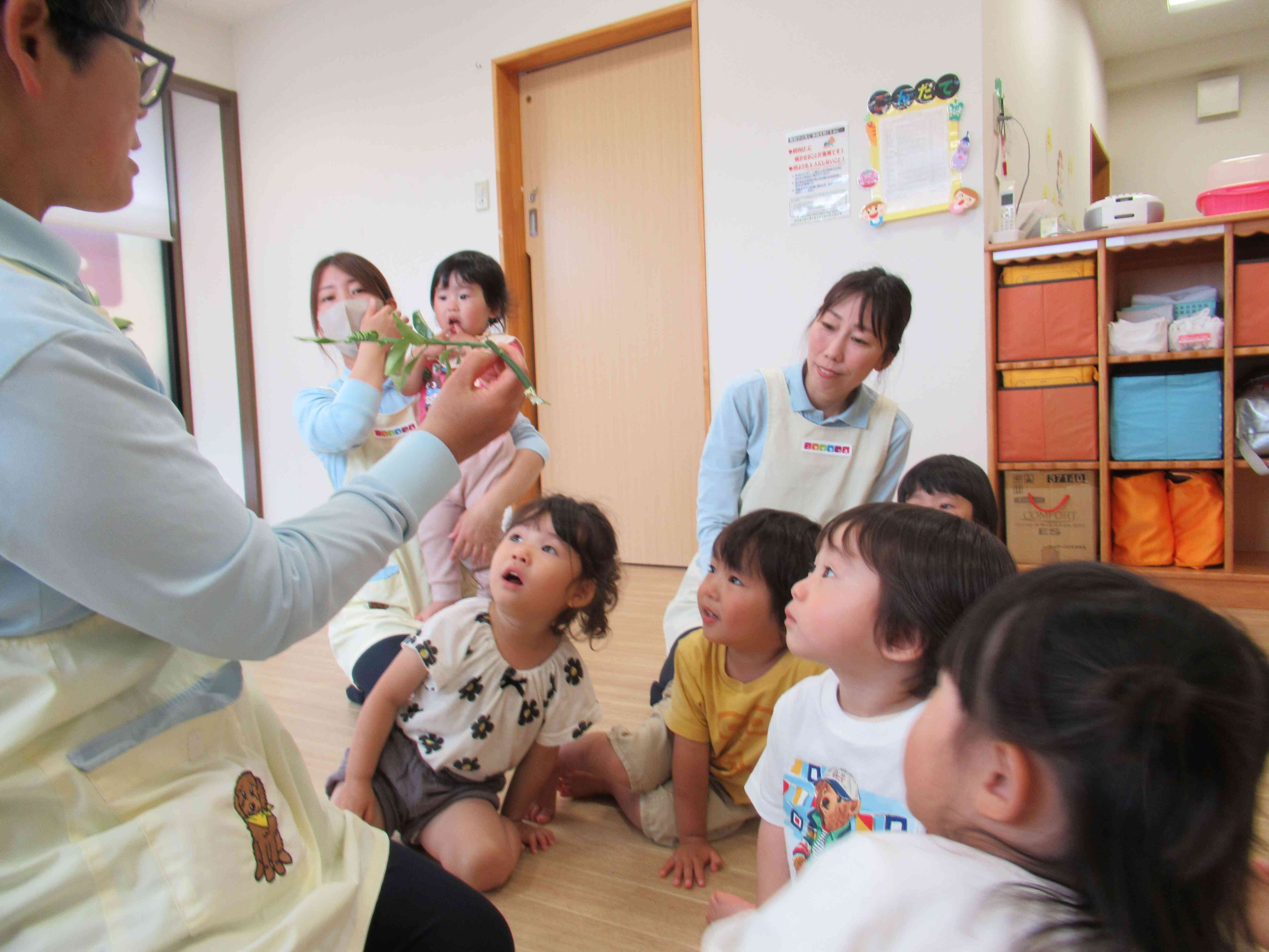 先生のお家に蝶の赤ちゃんがいたよ