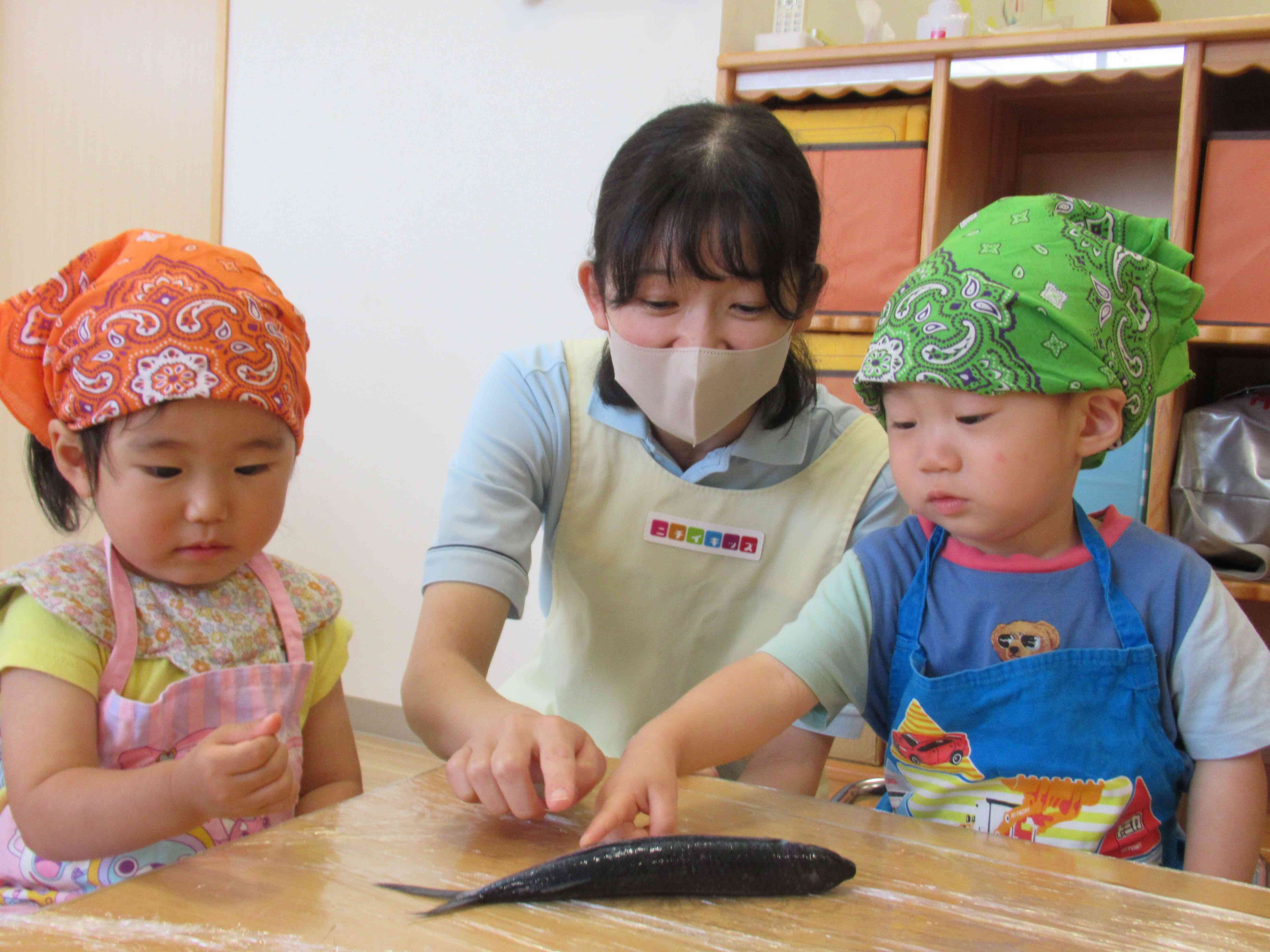 お魚を触ってみよう