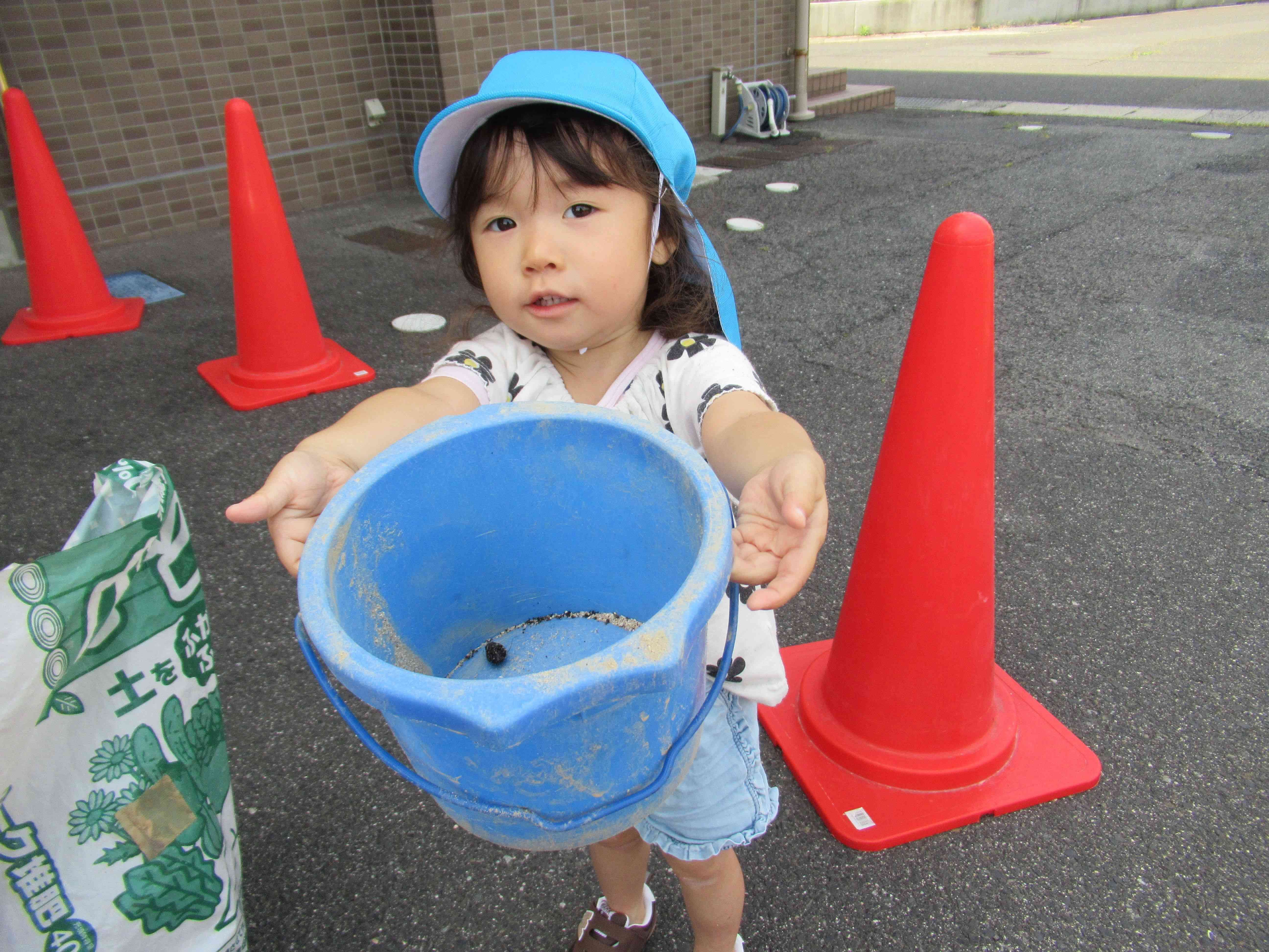 「むしがいたよ～‼」　土の中から虫が出てきましたよ。
