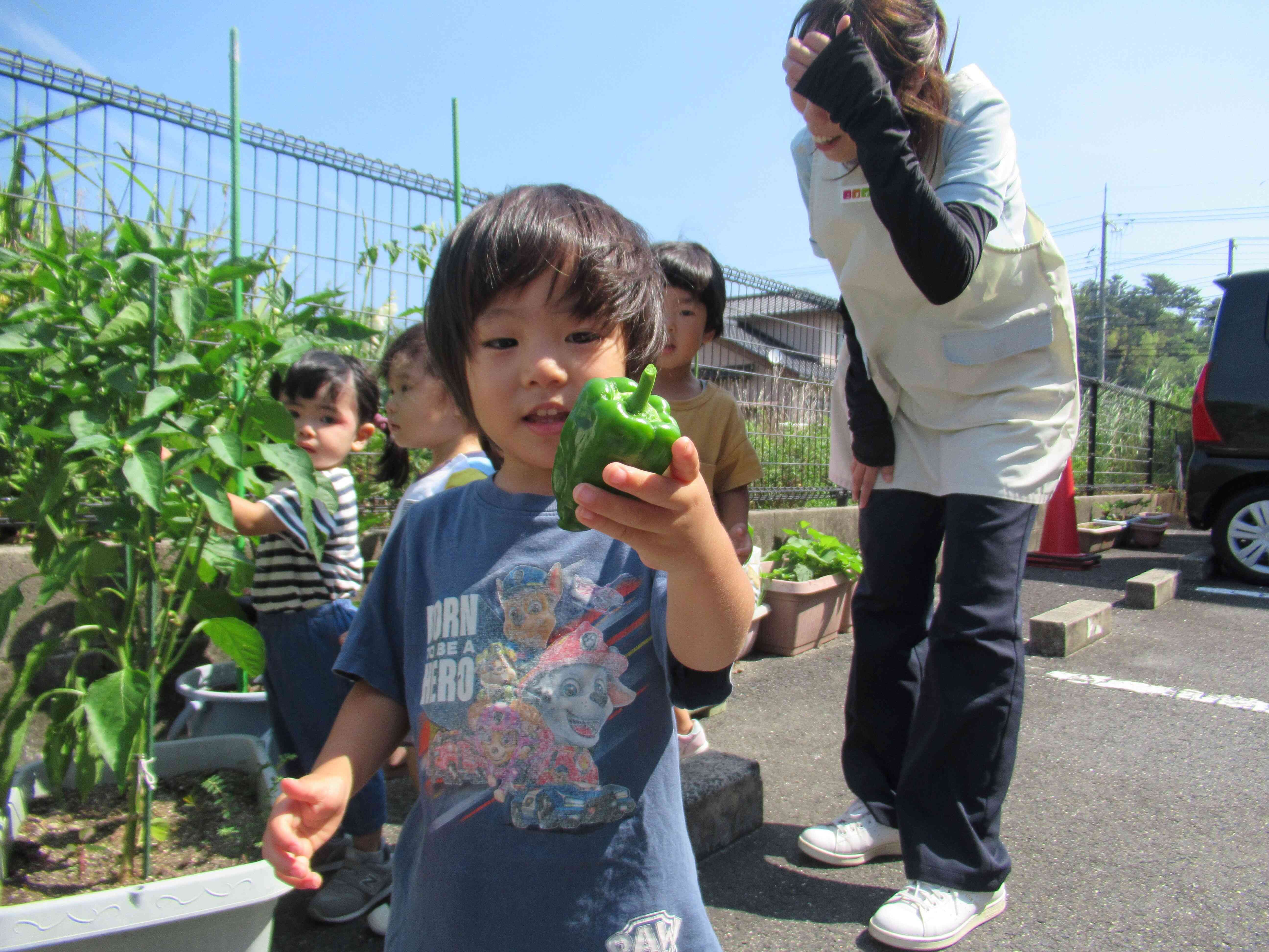 「ピーマンとったよ」