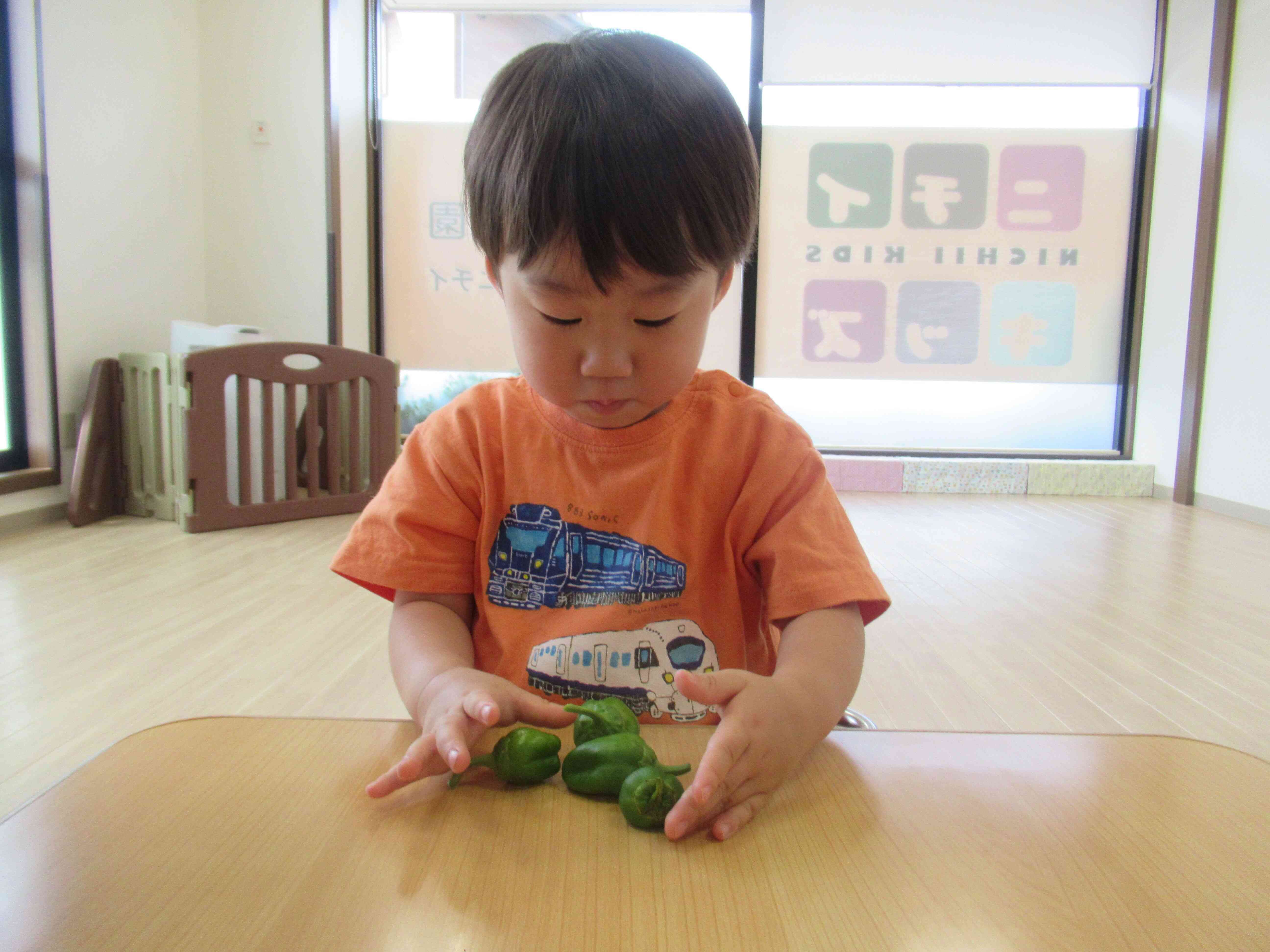 ピーマンがたくさんとれたよ。