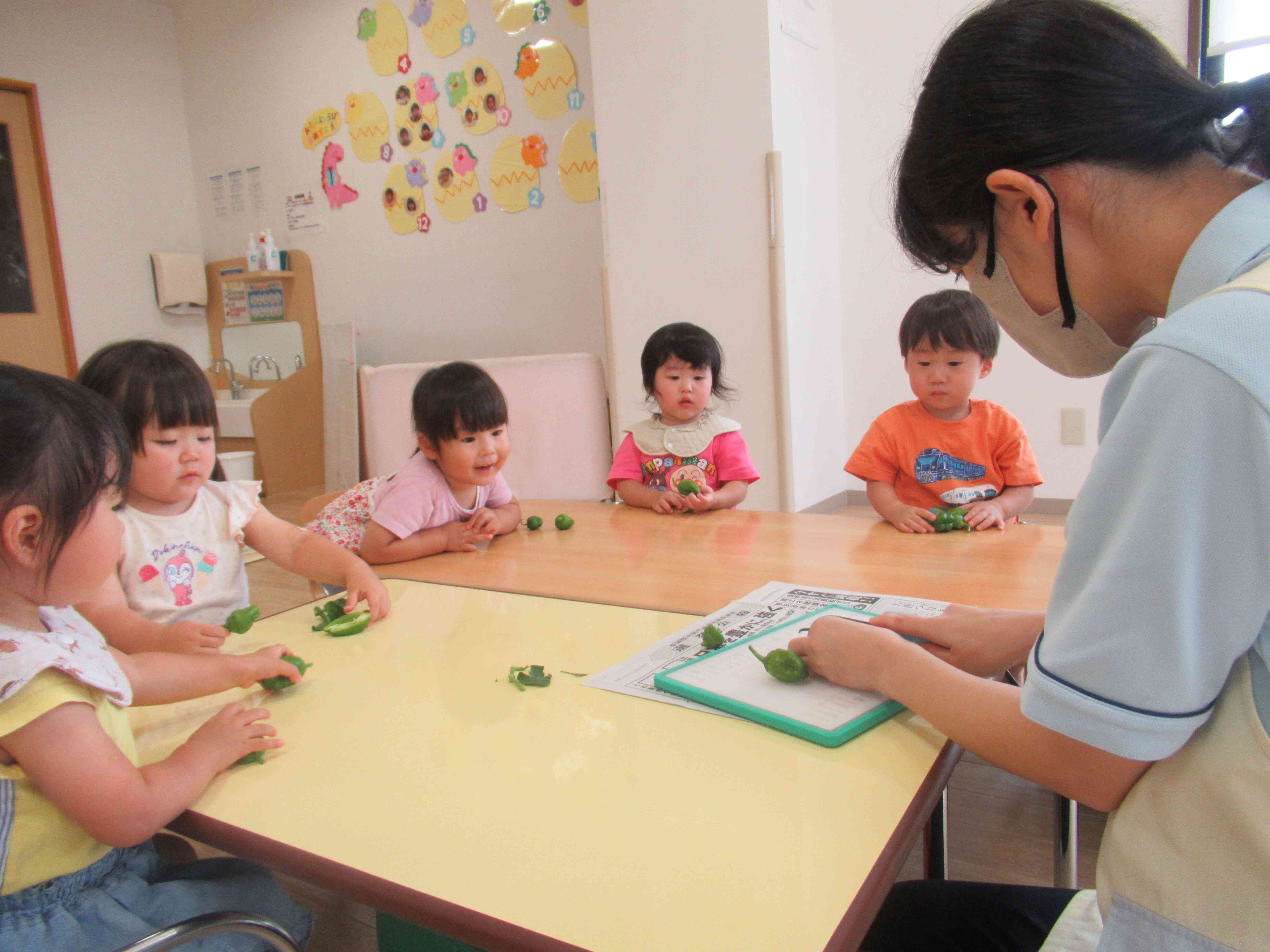 ピーマンの中を見てみよう‼