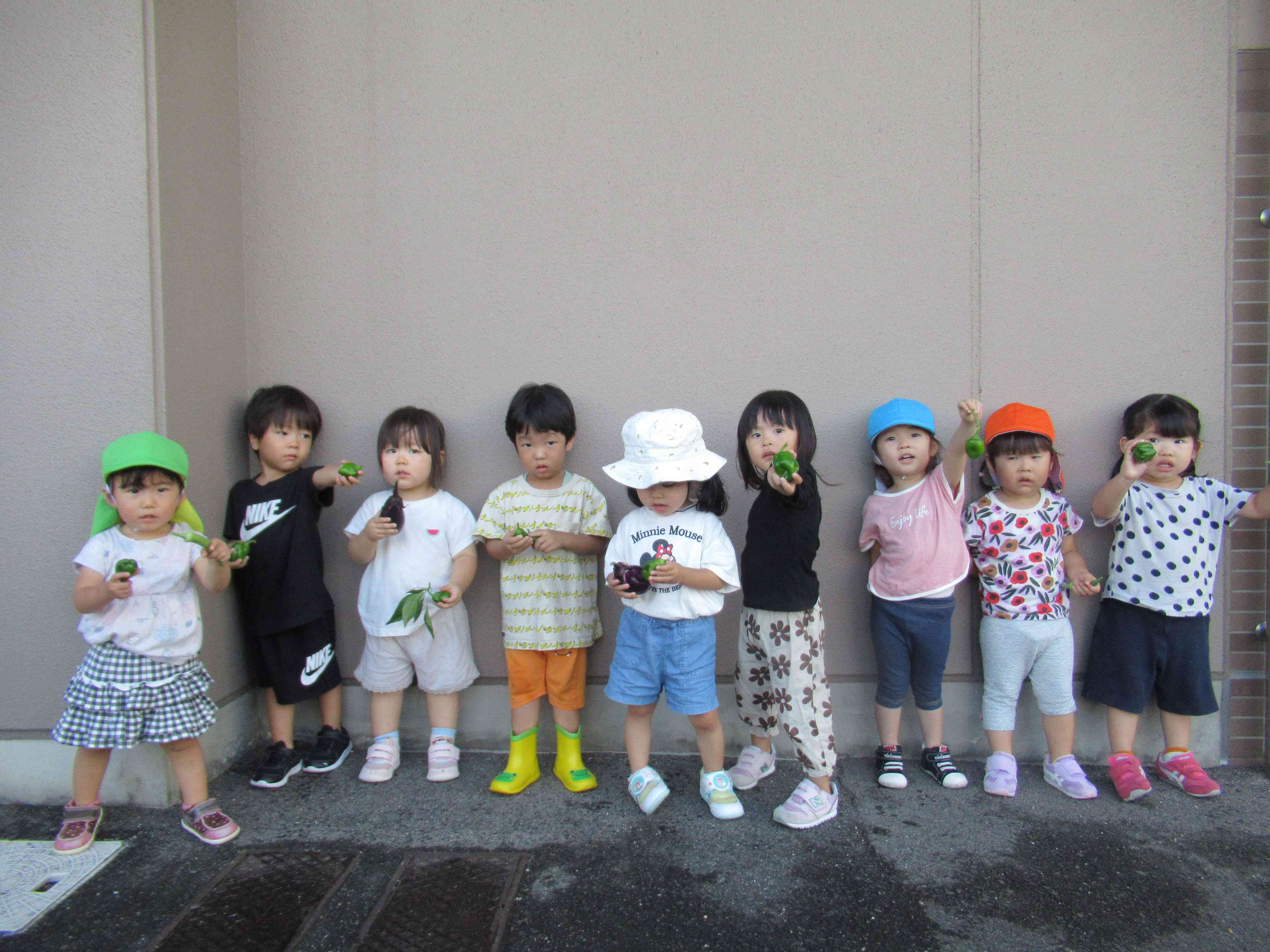 たくさん収穫できました。