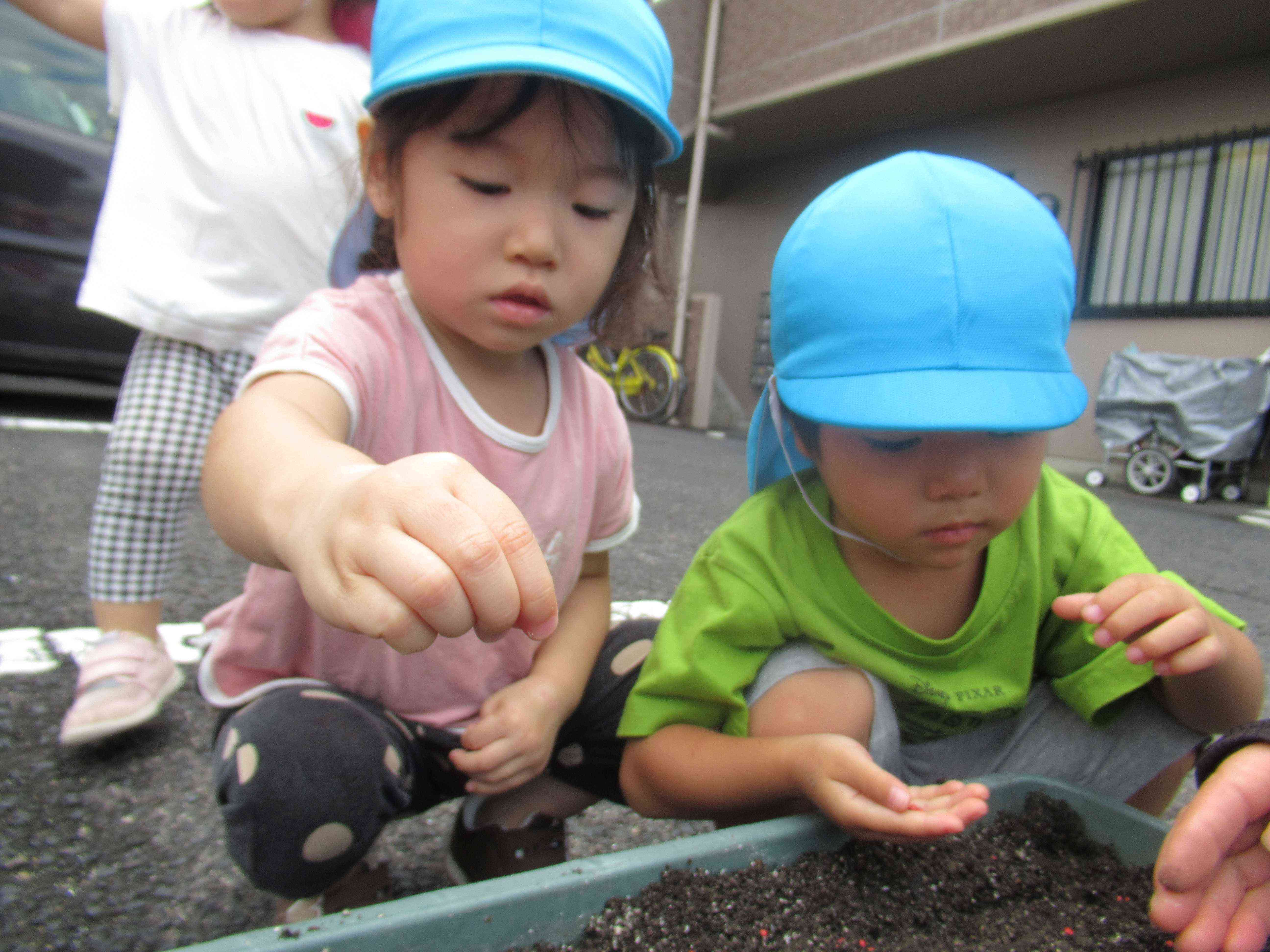 土の上にパラパラ～　