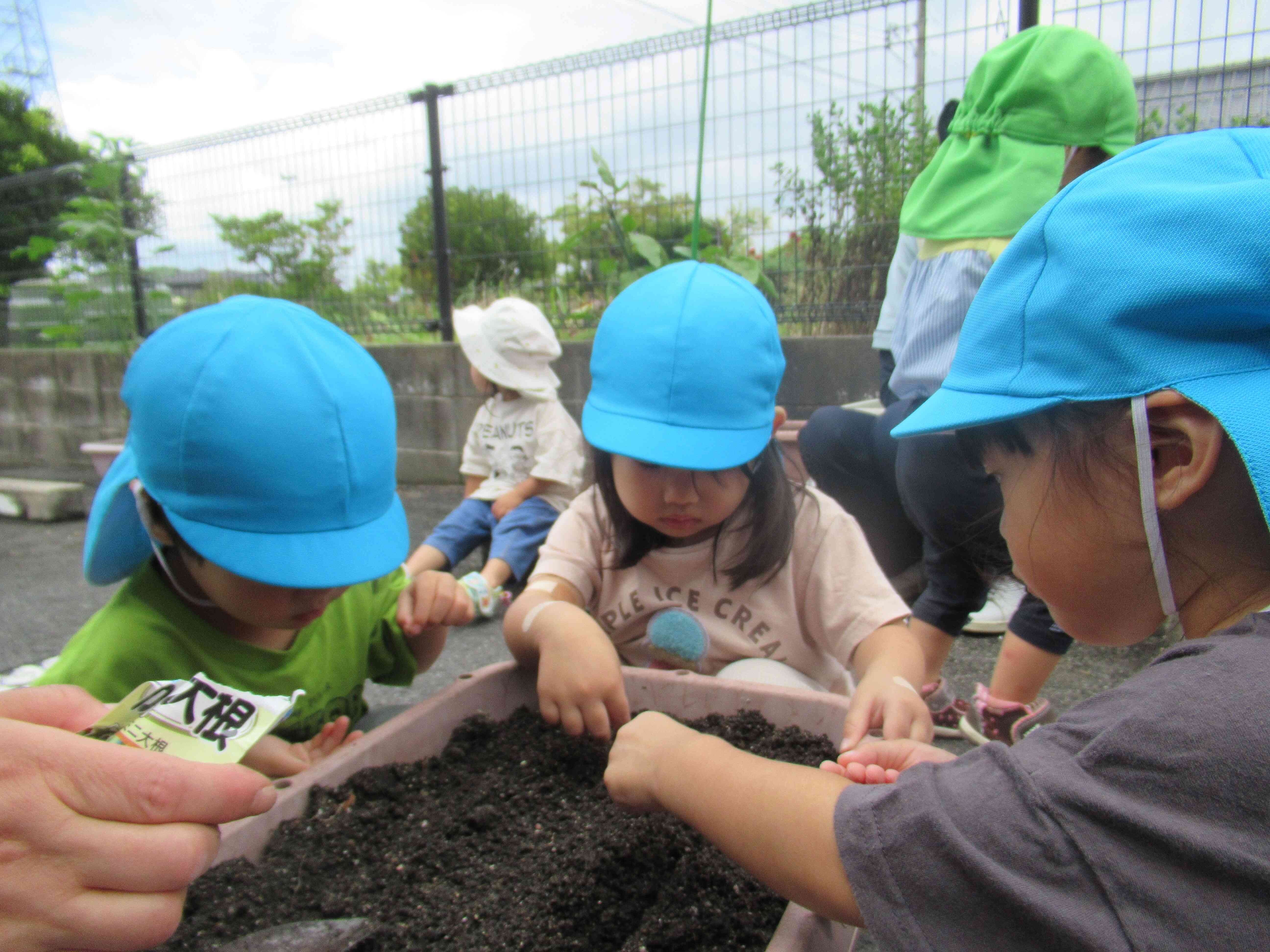 野菜の種をまいたよ