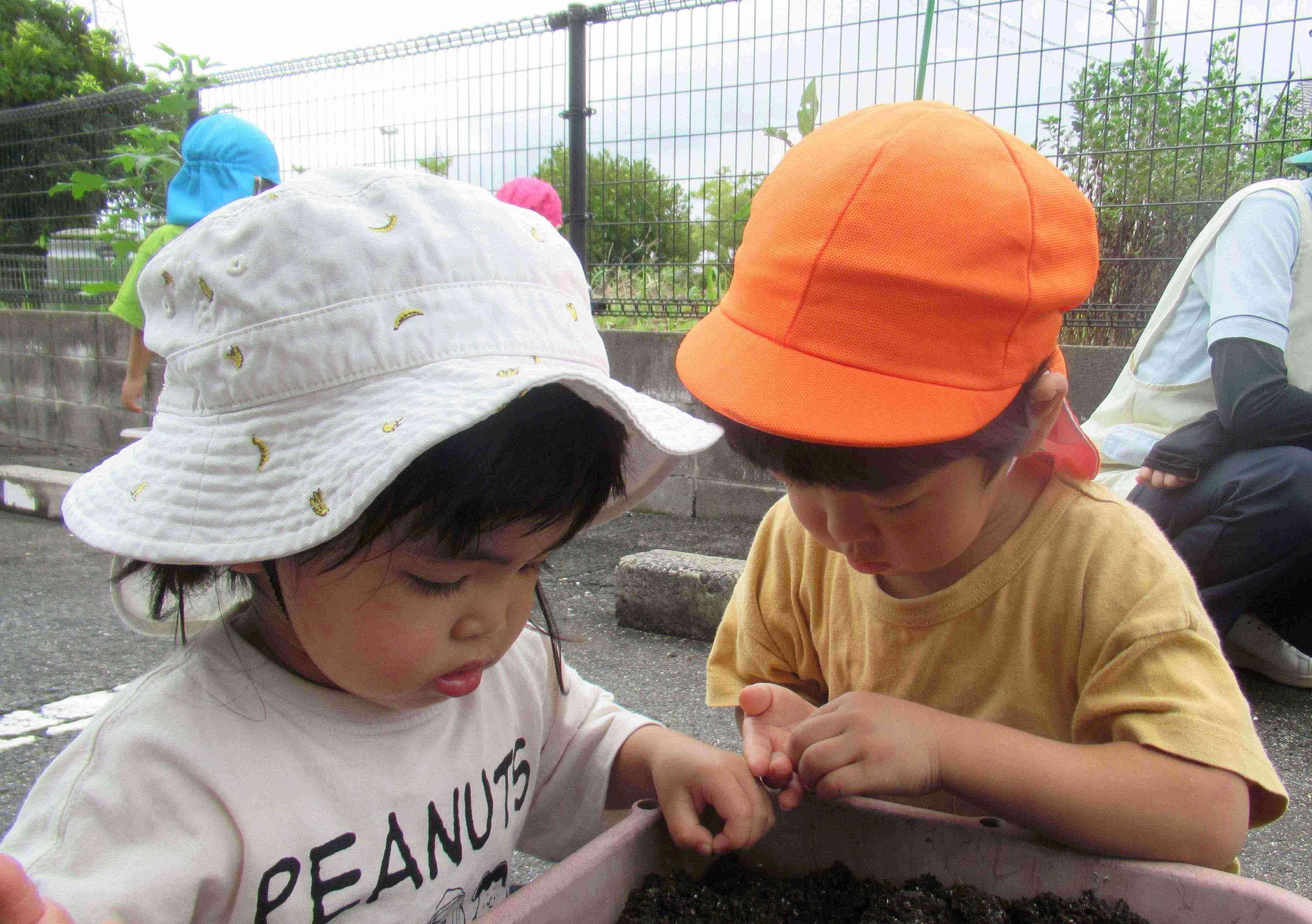 大きく育ちますように。