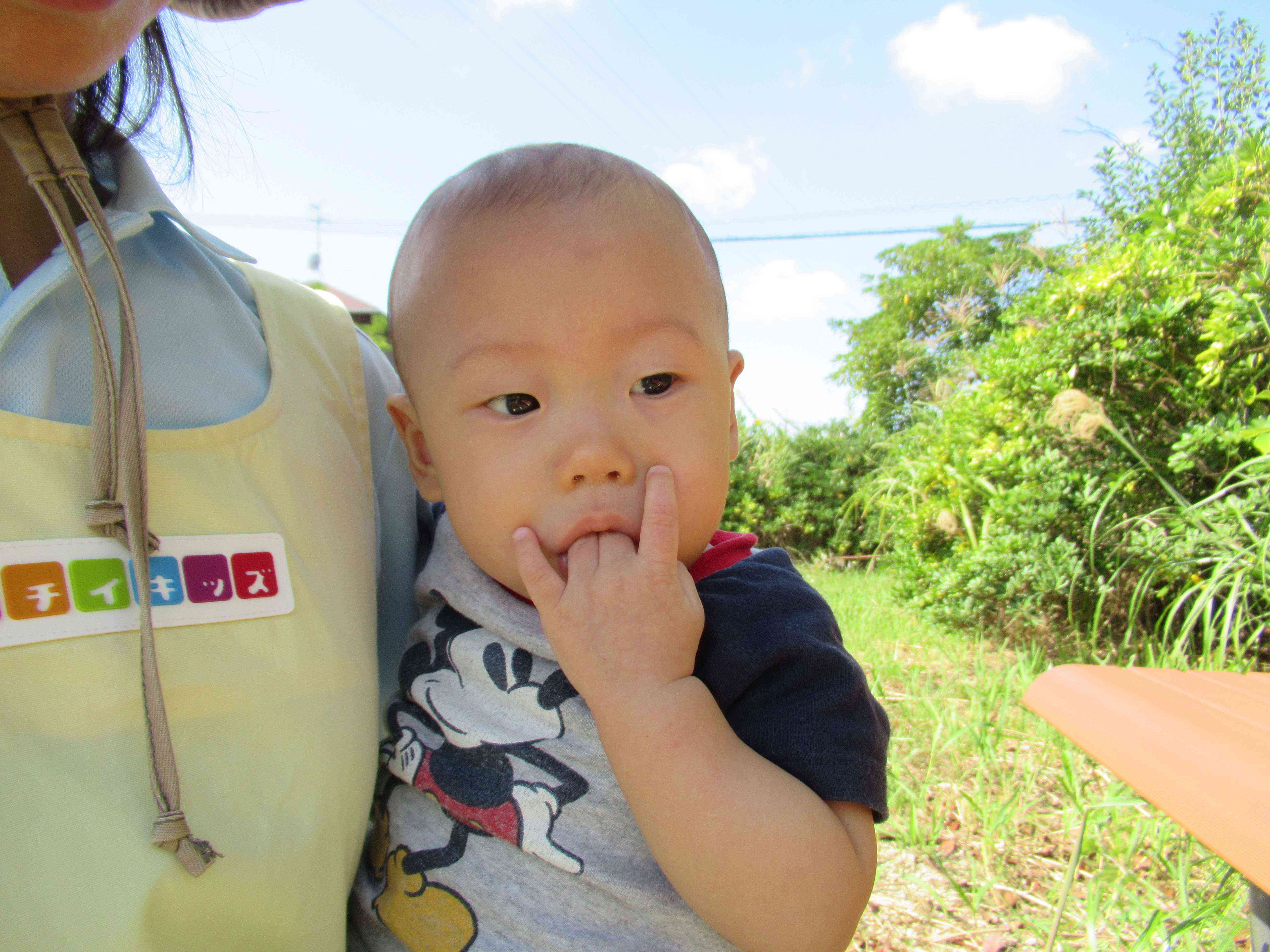 風が吹いているね。