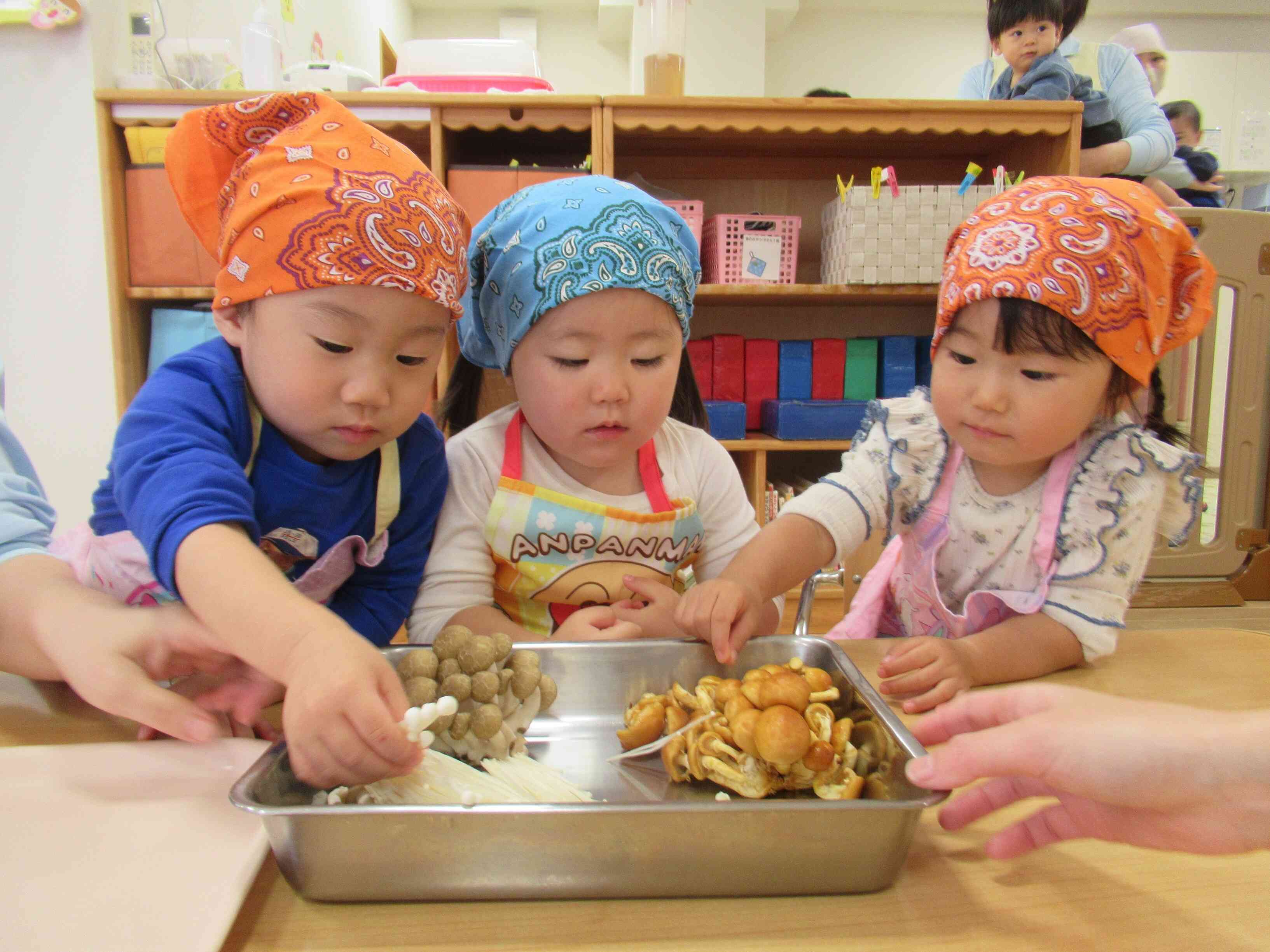 きのこがいっぱい