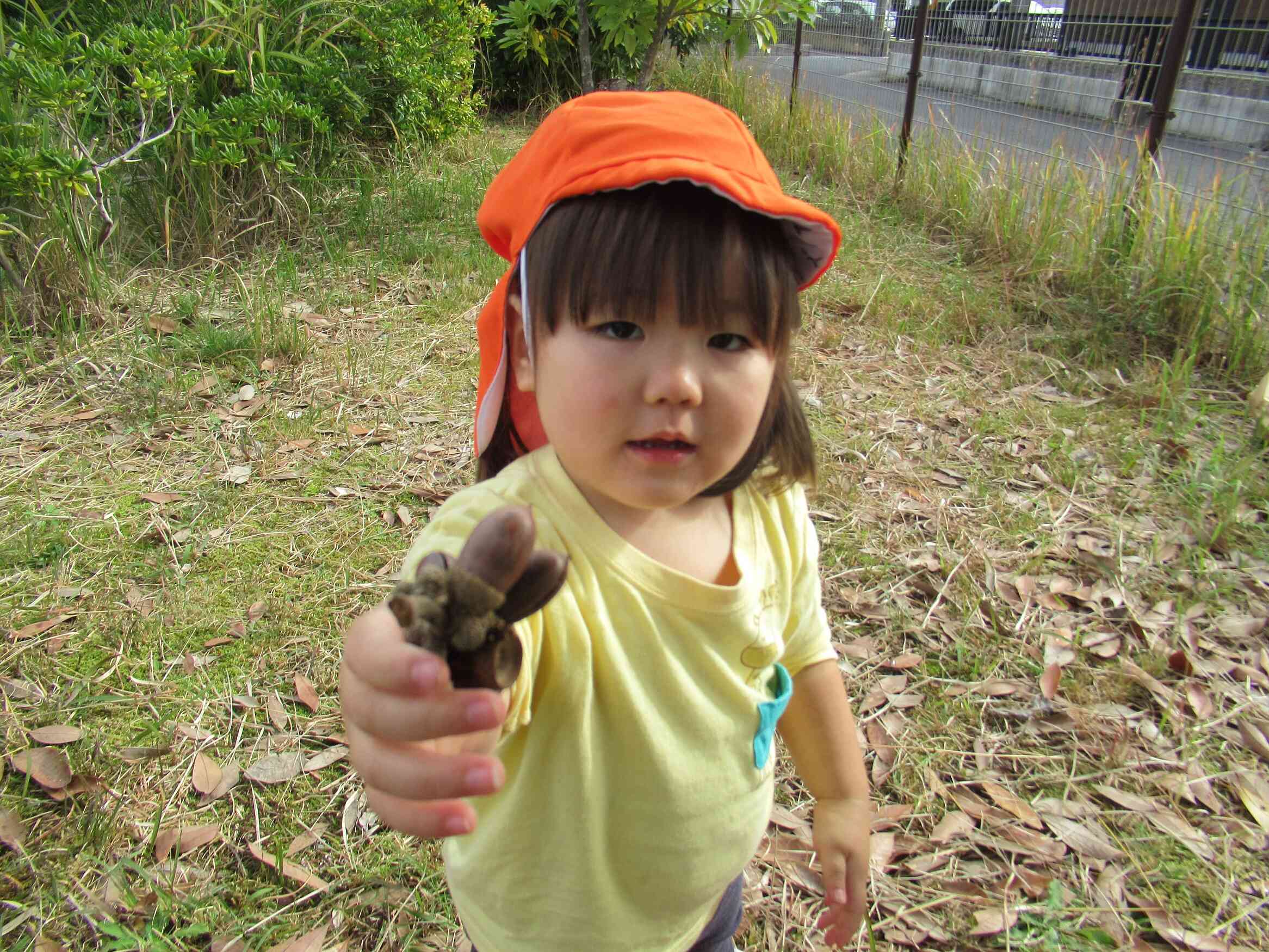 “どんぐり あったよ” “はい どうぞ”