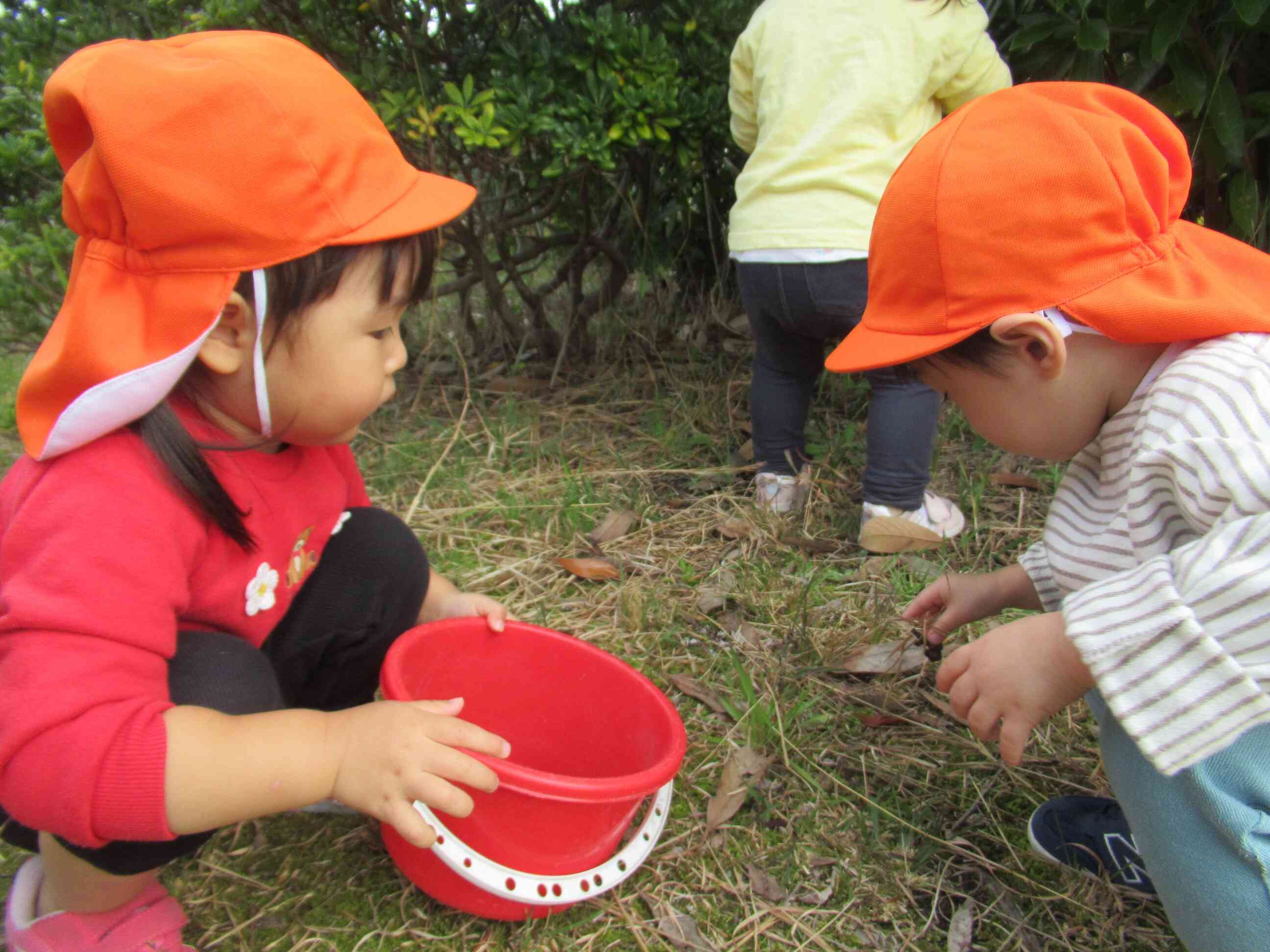 どんぐりがあったよ