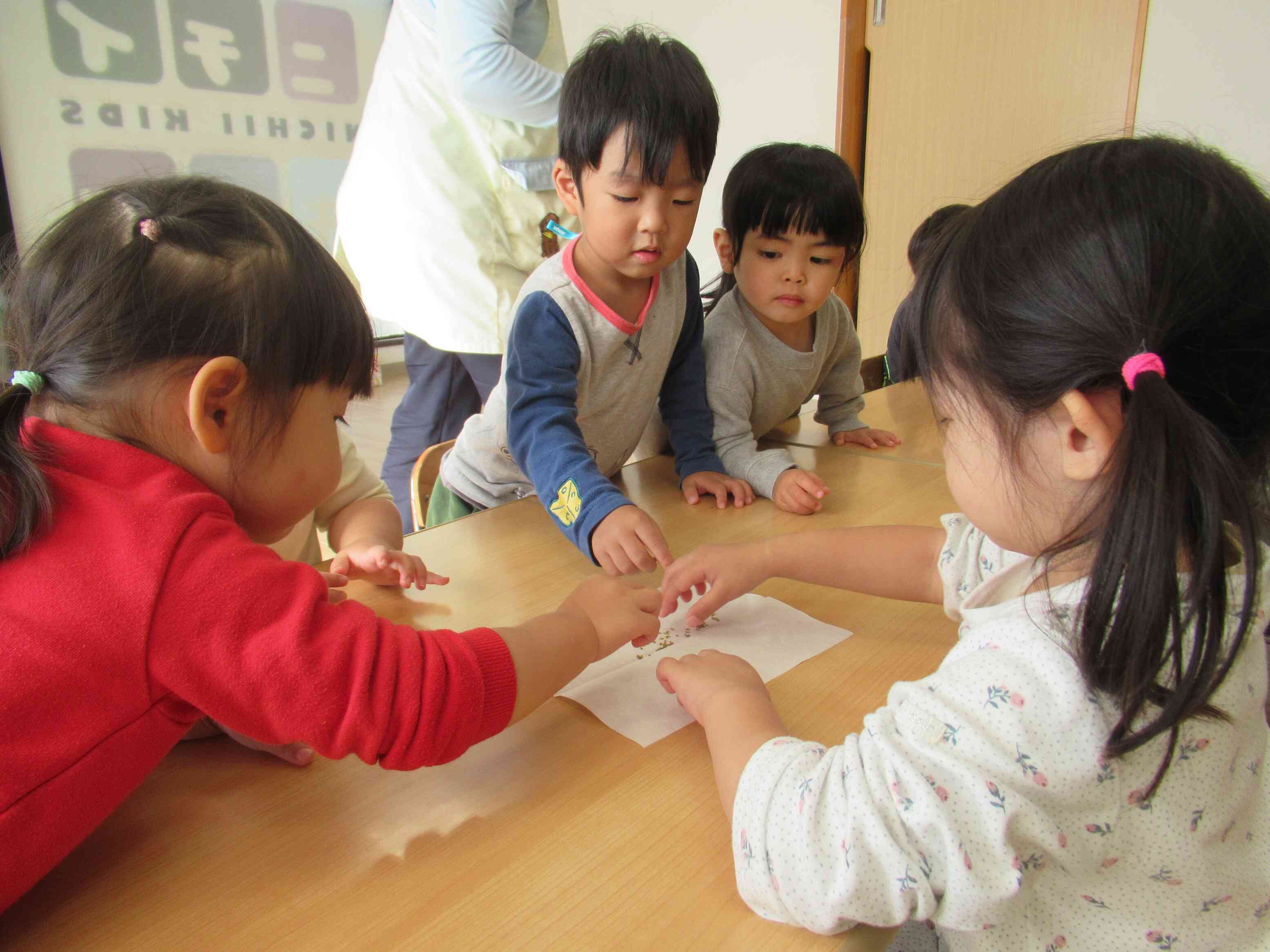 ニンジンの種を触ってみました。