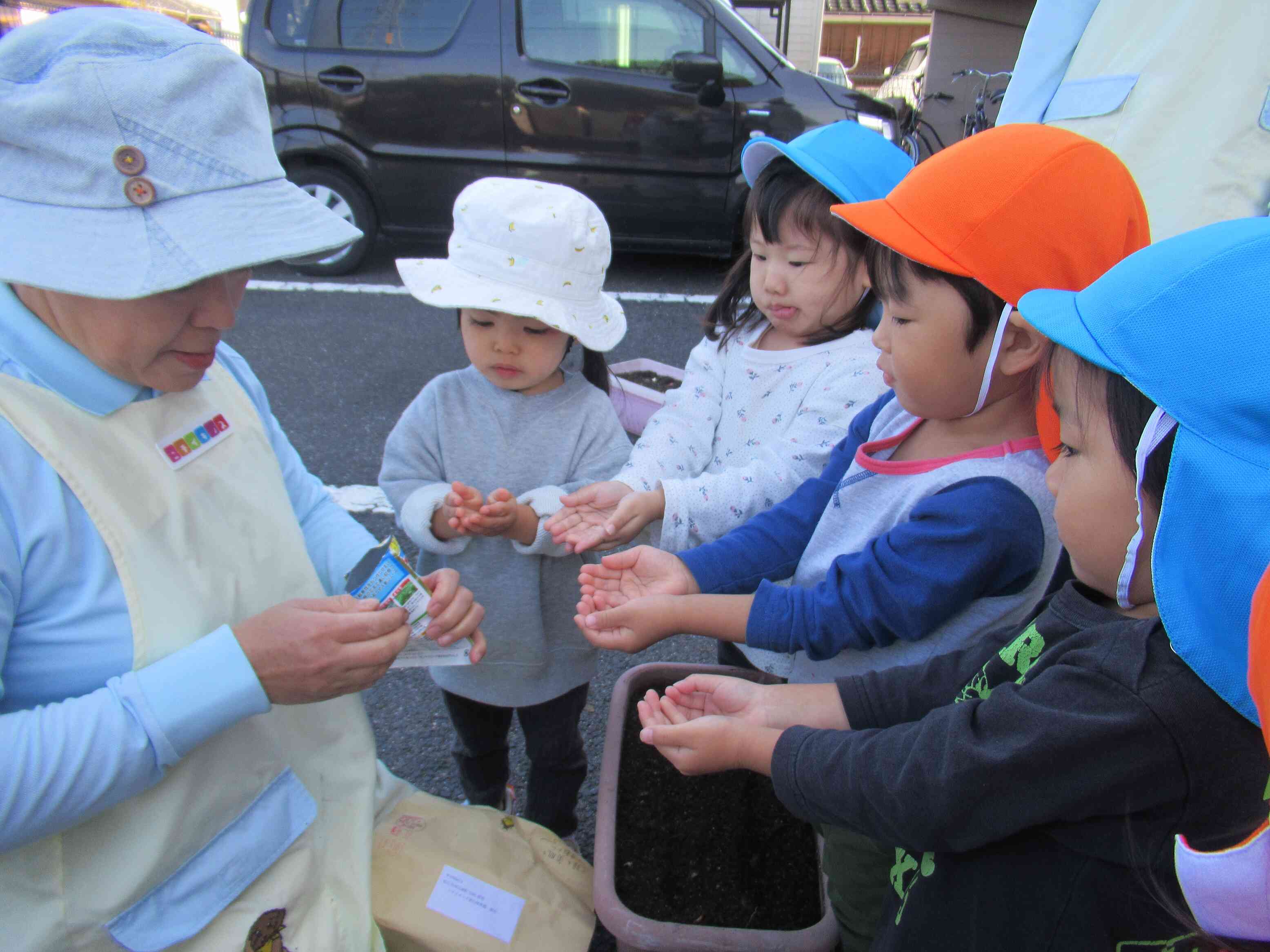 ニンジンの種を蒔いたよ
