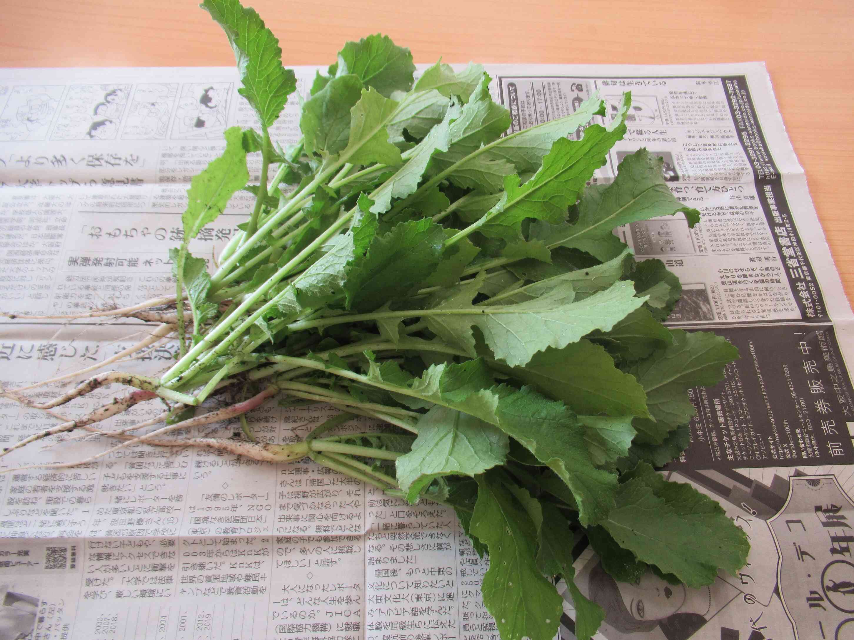 大根の間引き菜は給食で食べました。