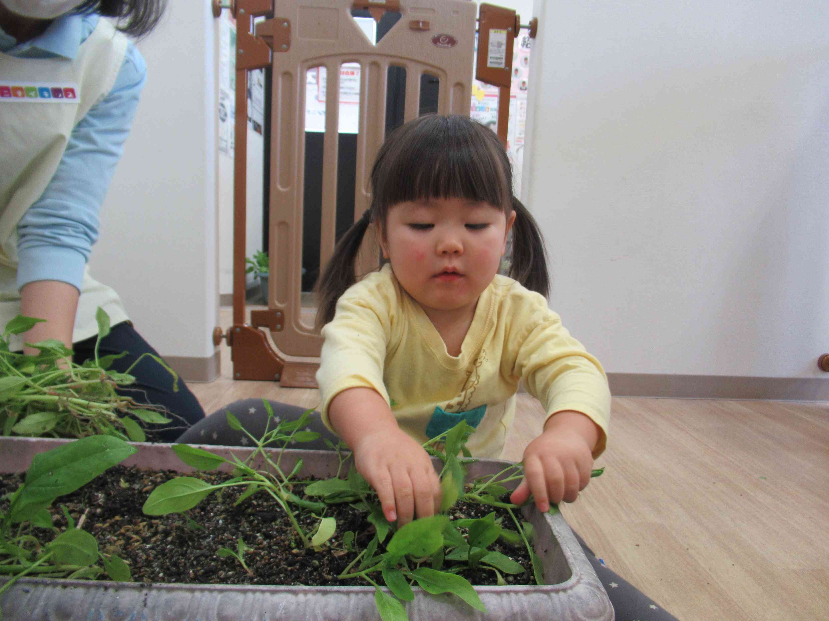 「ここにあったよ」